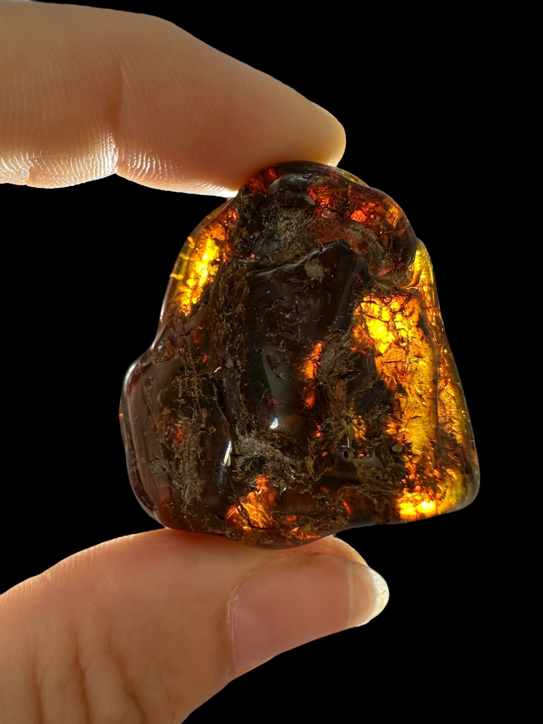 Amber 11g – Lithuania - JN666