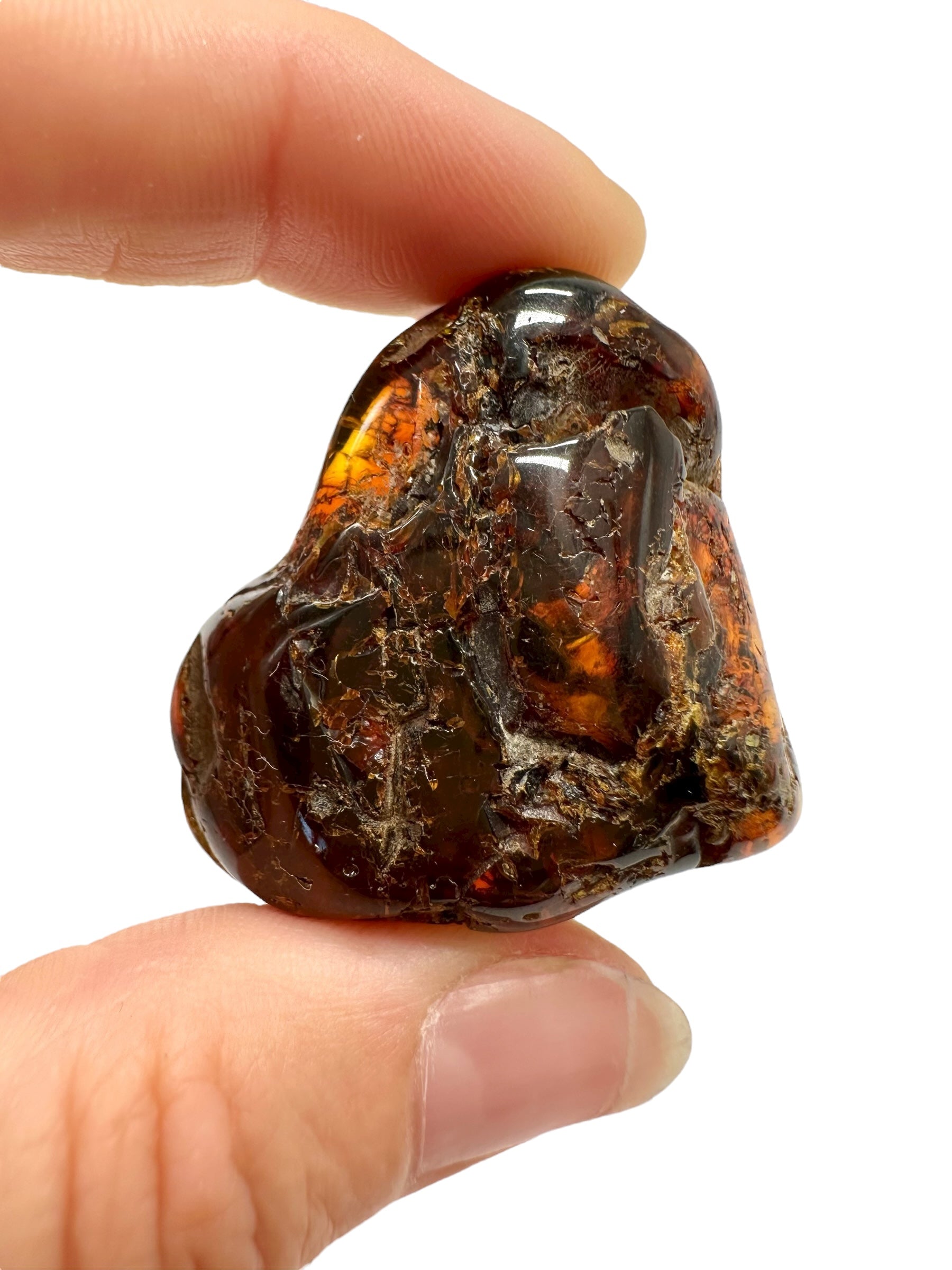 Amber 11g – Lithuania