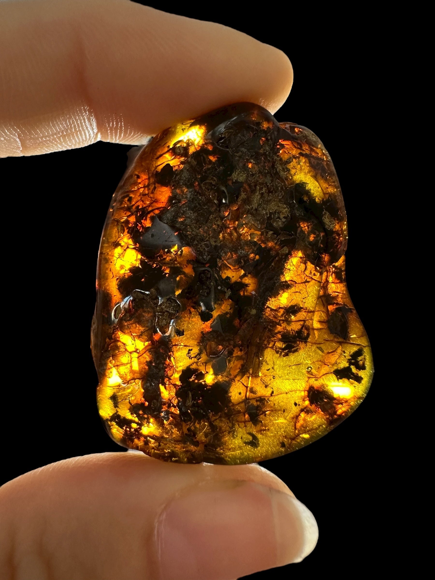 Amber 8,8g – Lithuania - JN667
