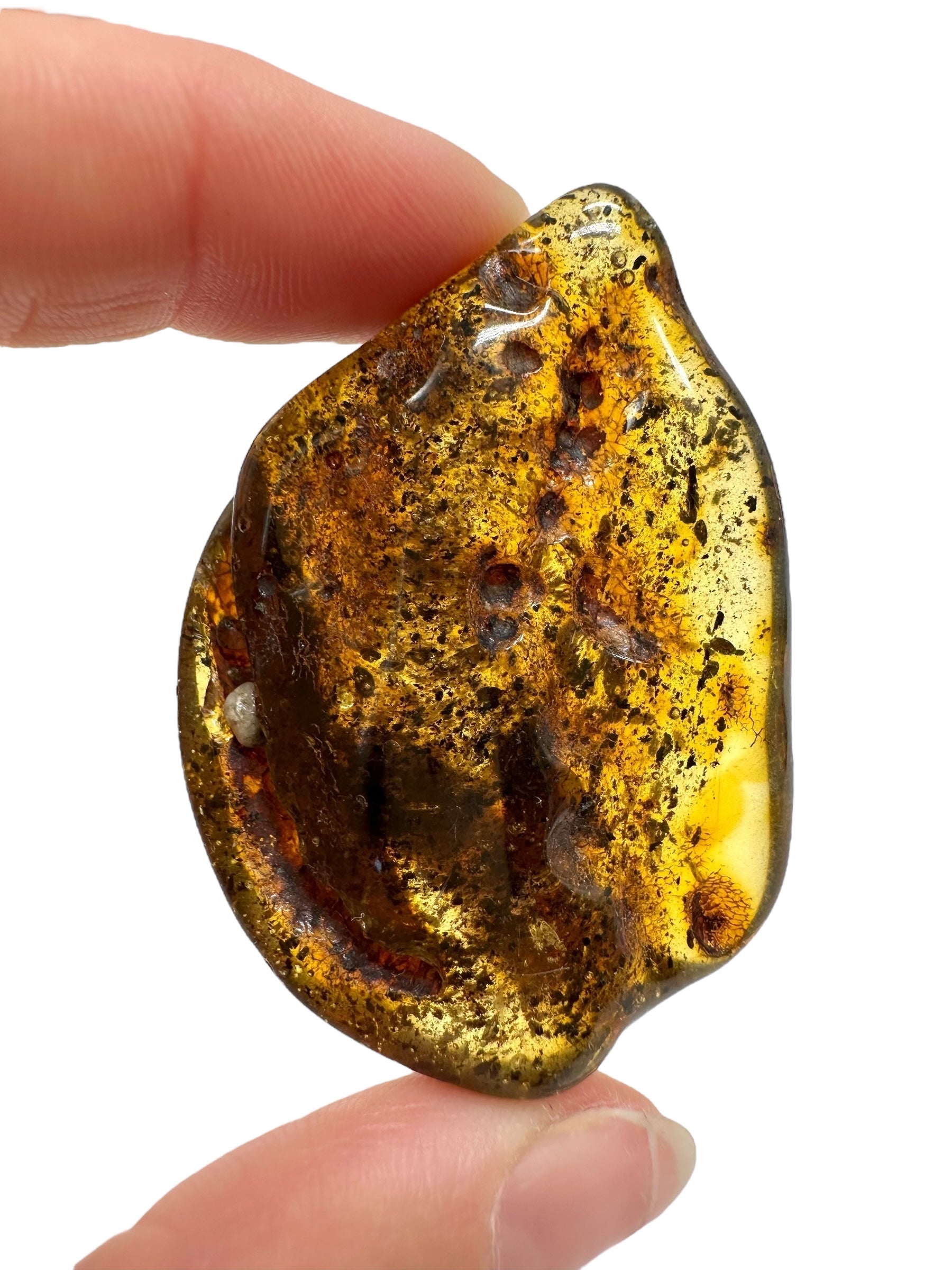 Amber 13,6g – Lithuania - JN669