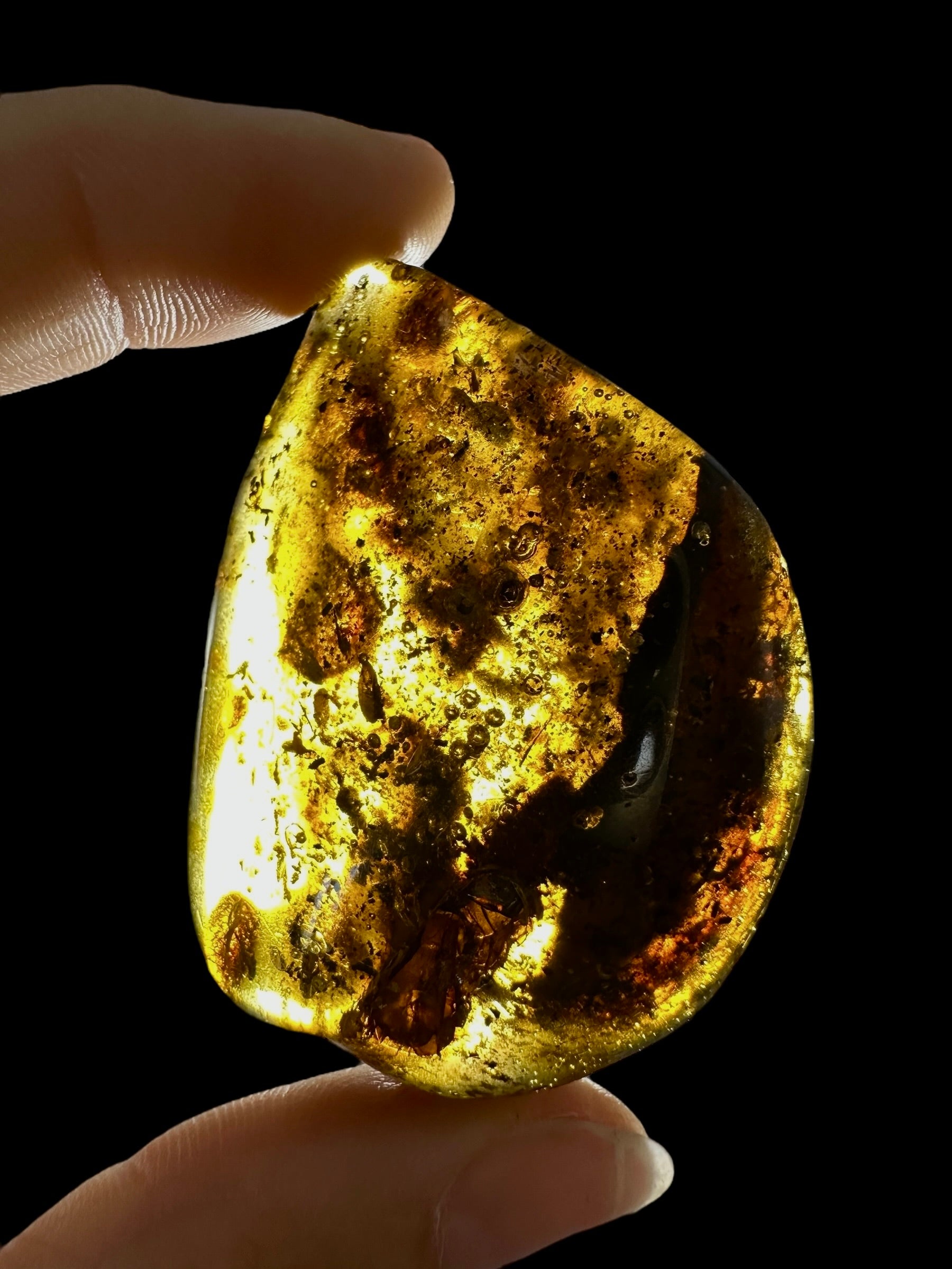 Amber 13,6g – Lithuania - JN669