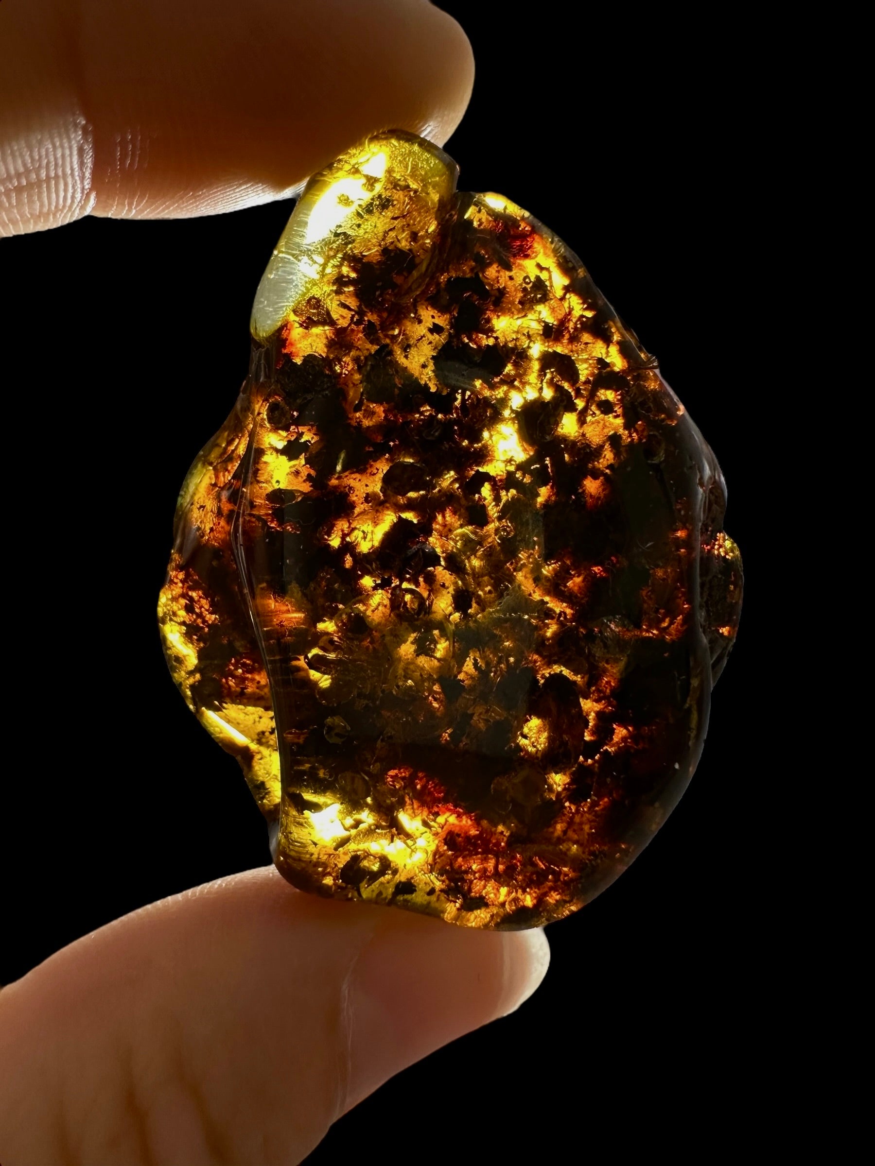 Amber 11,2g – Lithuania - JN673