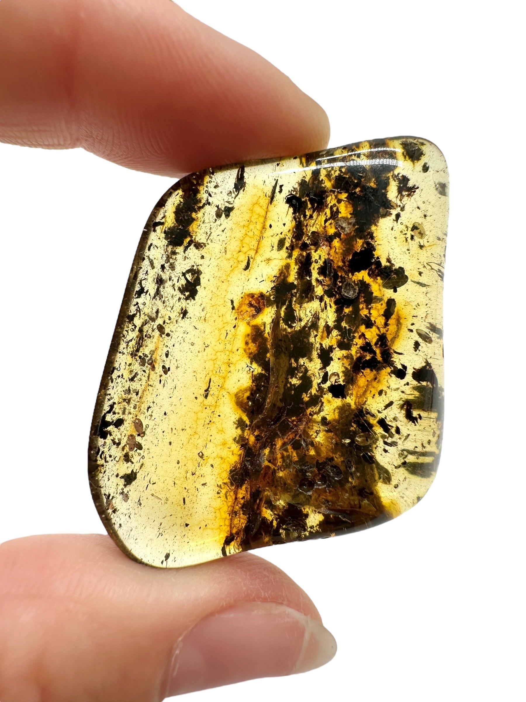 Amber 6,9g – Lithuania - JN677