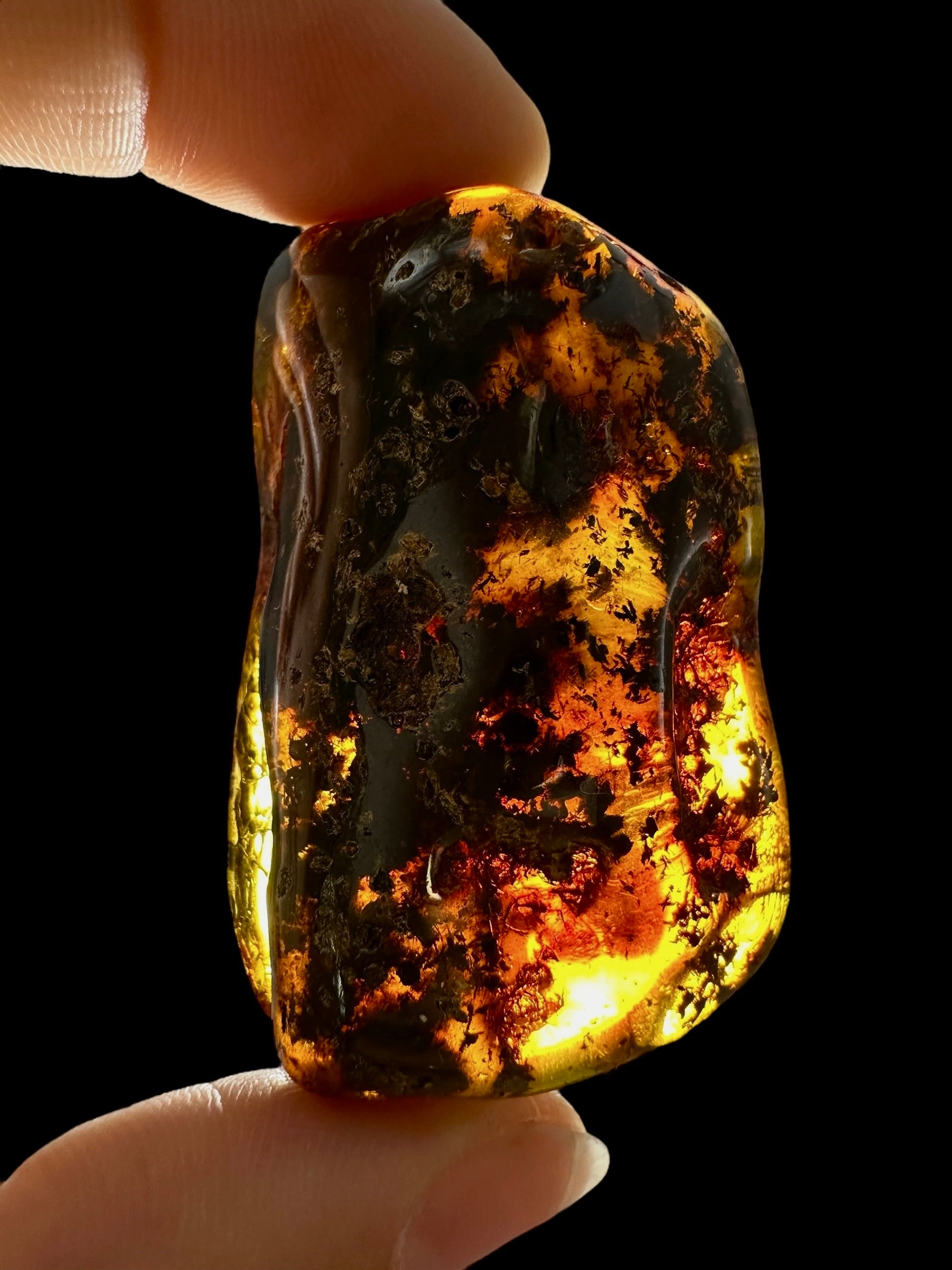 Amber 15,4g – Lithuania - JN678