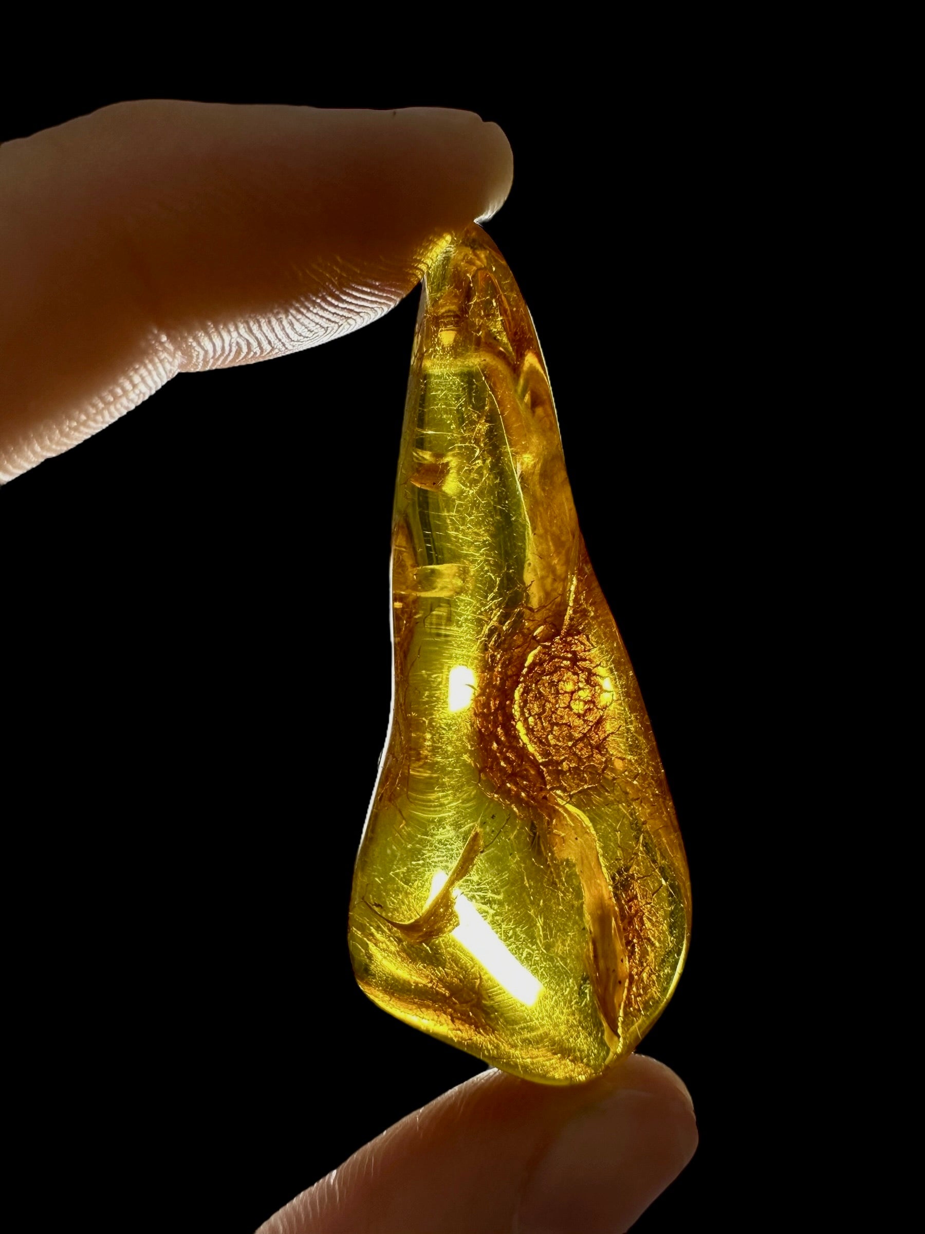 Amber 5,2g – Lithuania - JN695