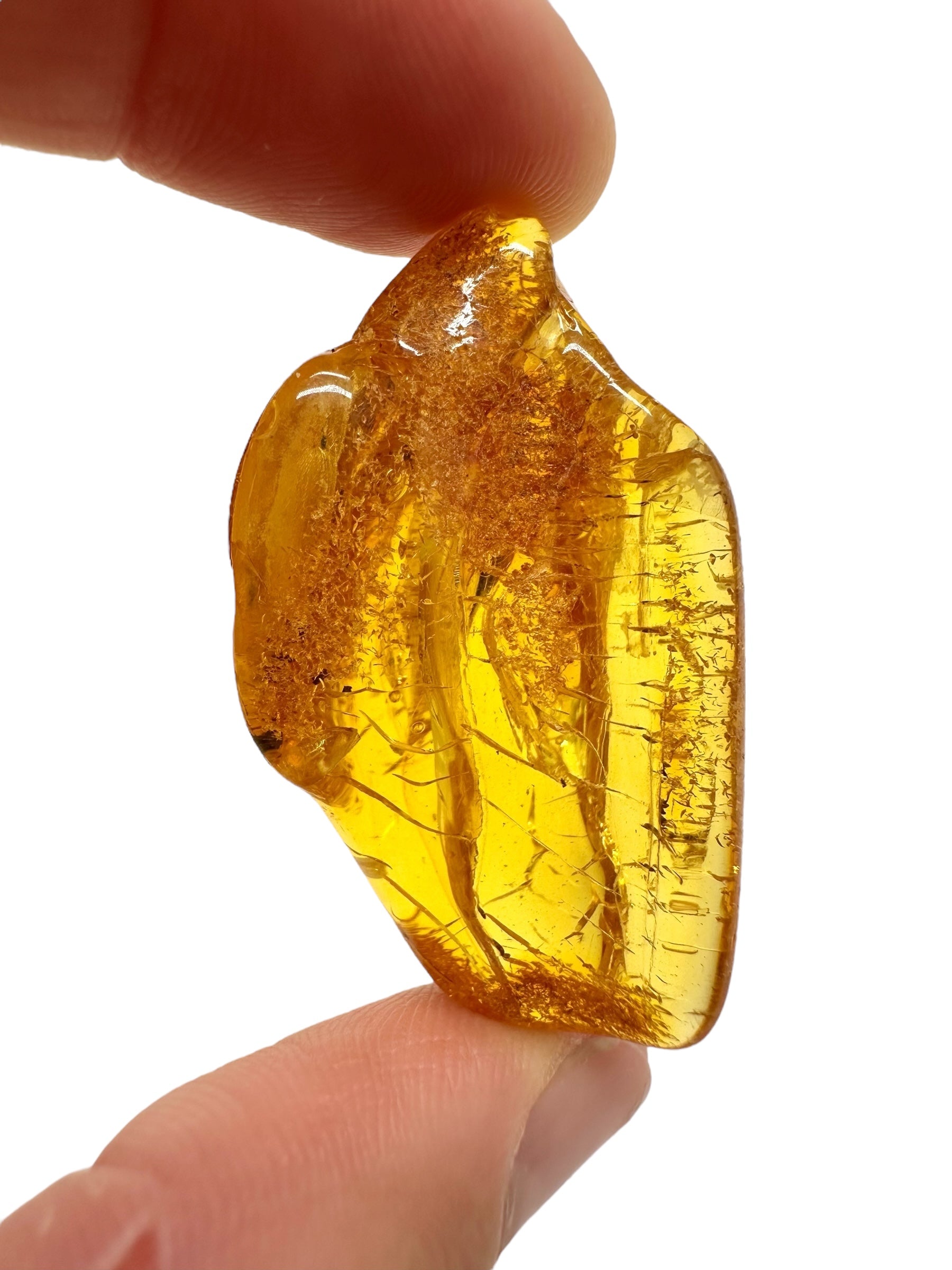 Amber 5,7g – Lithuania - JN697