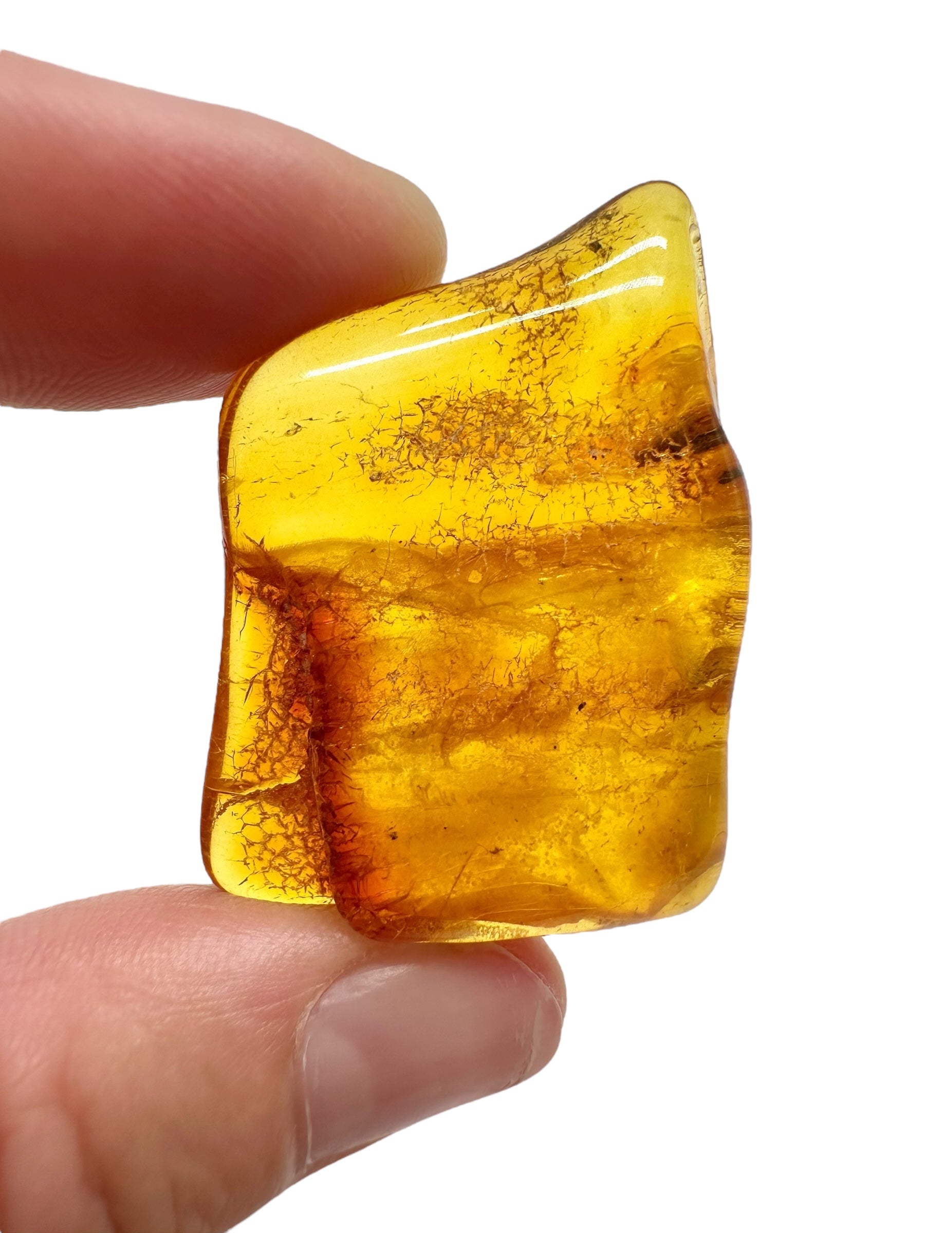 Amber 5g – Lithuania - JN698