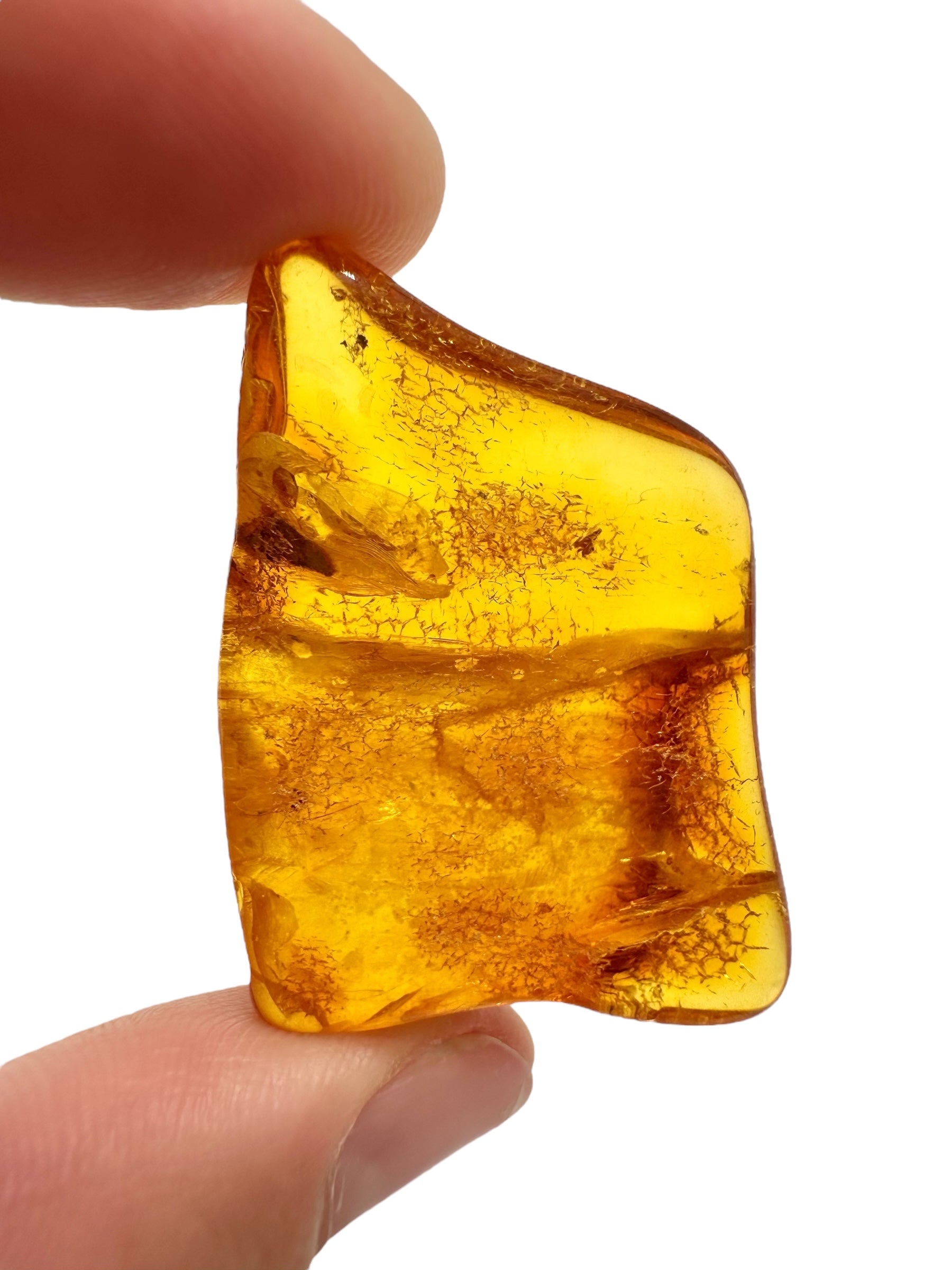 Amber 5g – Lithuania - JN698