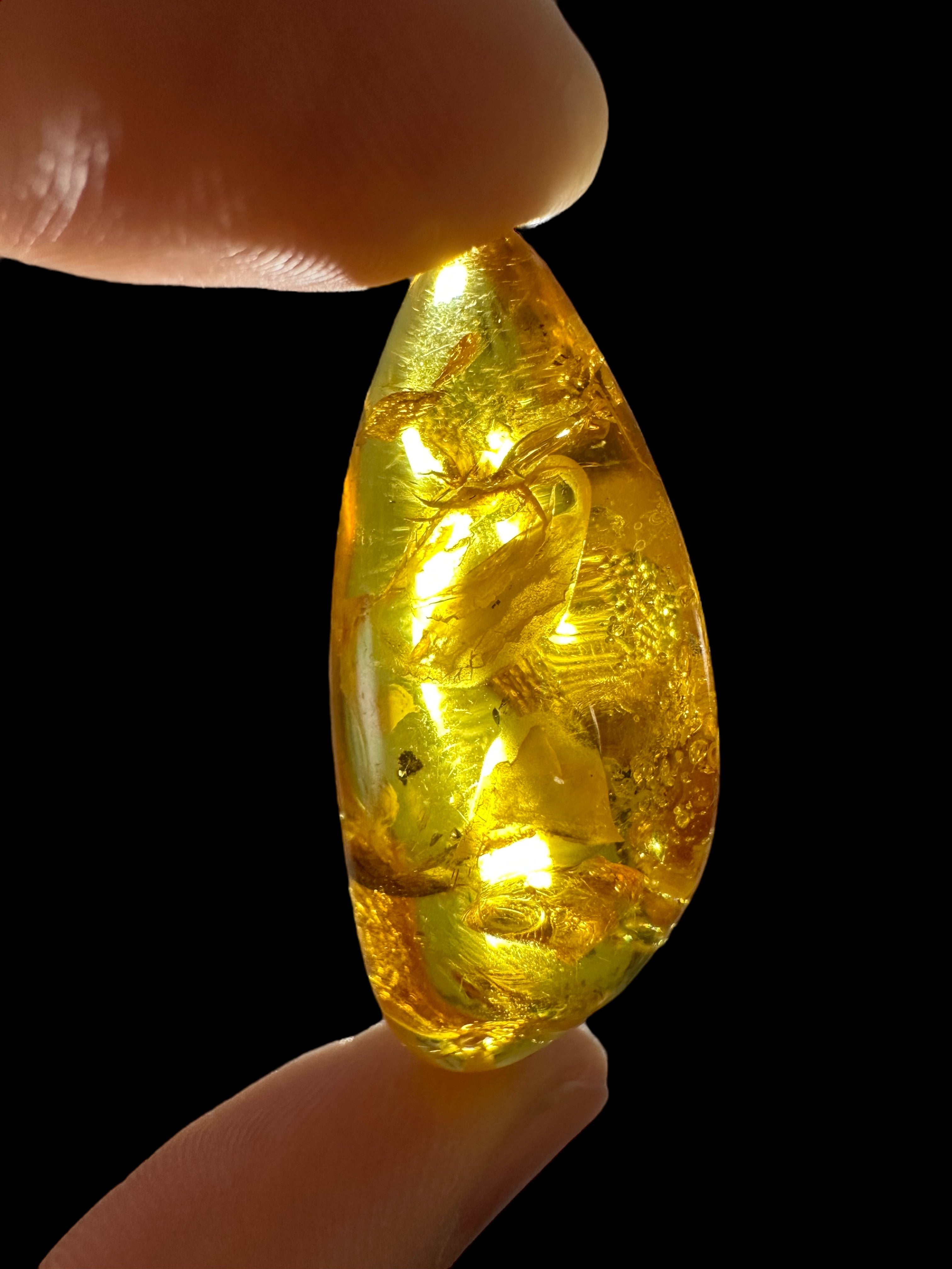 Amber 4,3g – Lithuania - JN700