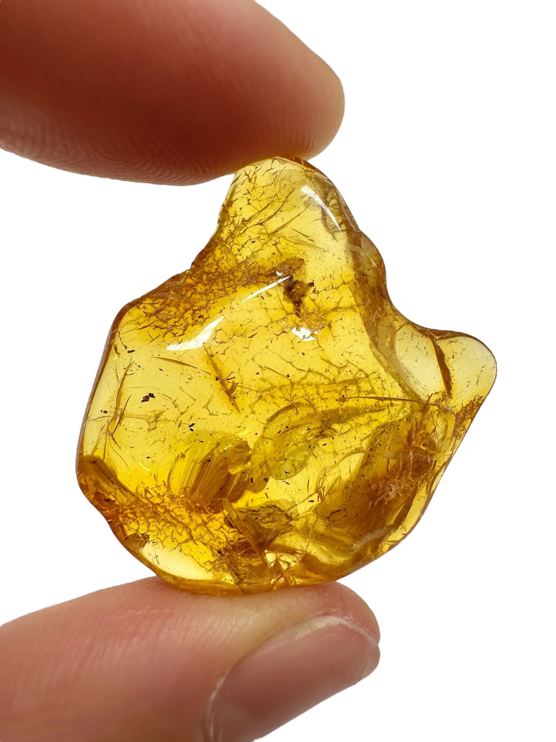 Amber 3,5g – Lithuania - JN702