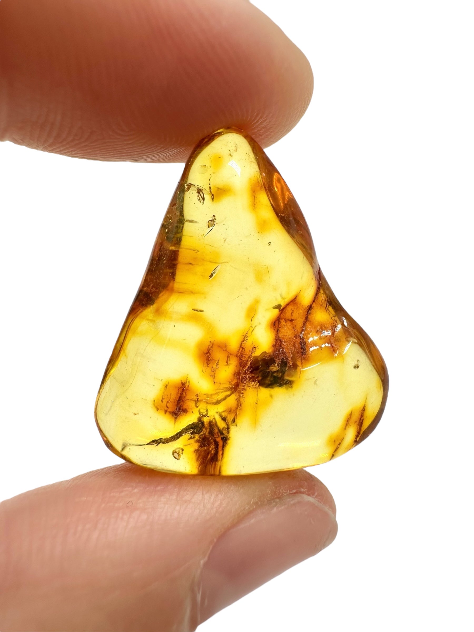 Amber 2,5g – Lithuania - JN704