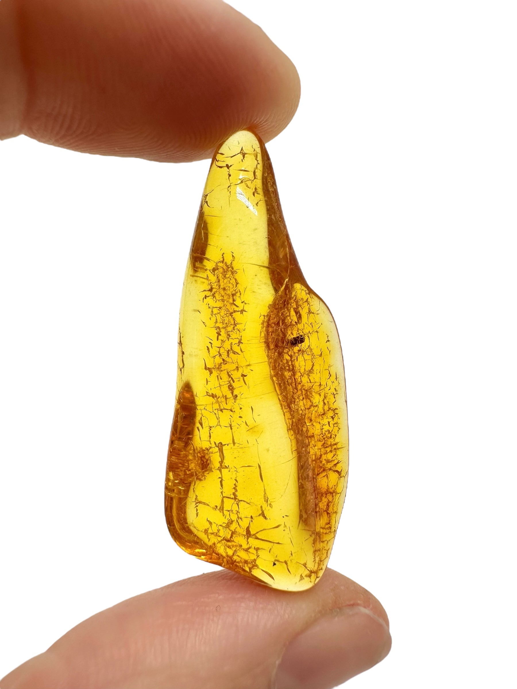 Amber 2,3g – Lithuania - JN705