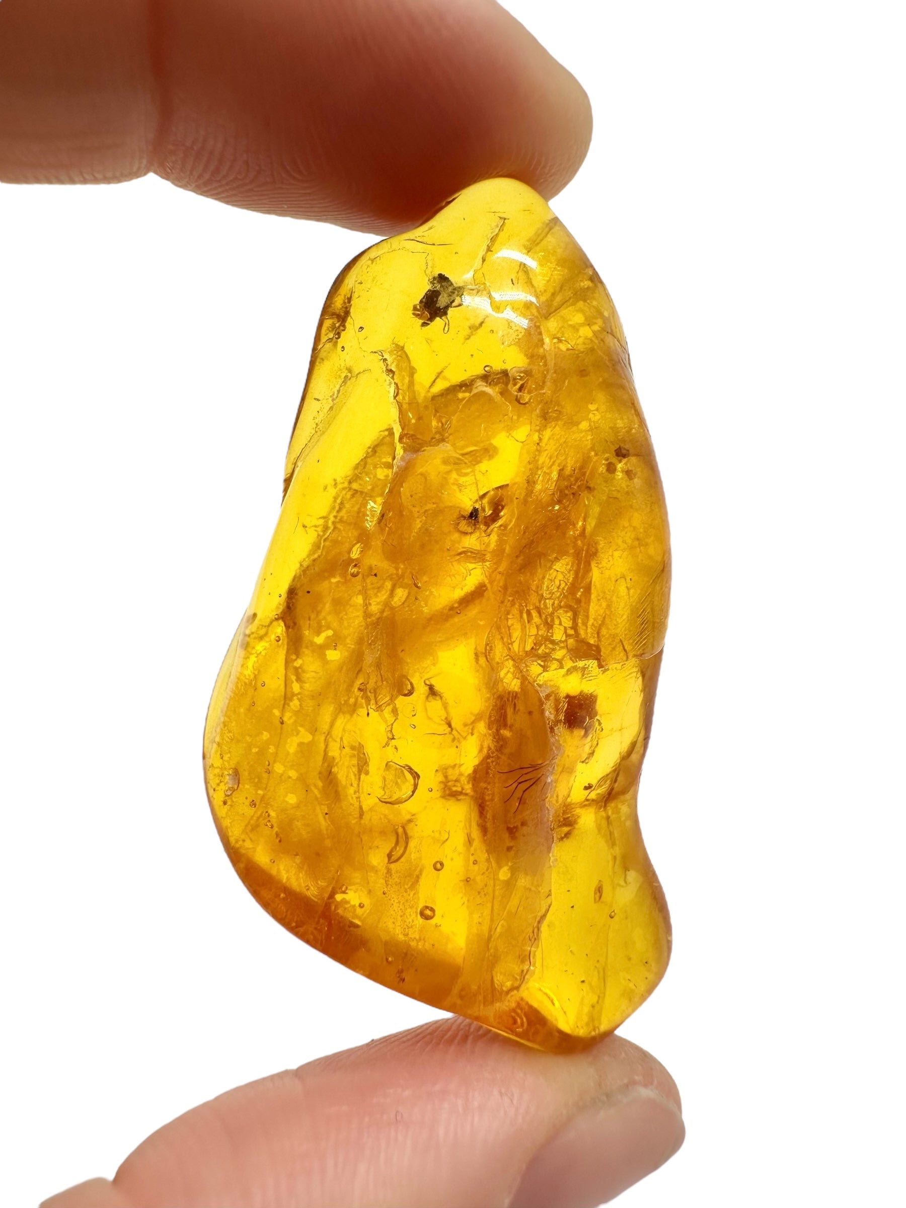 Amber 6,7g – Lithuania - JN706
