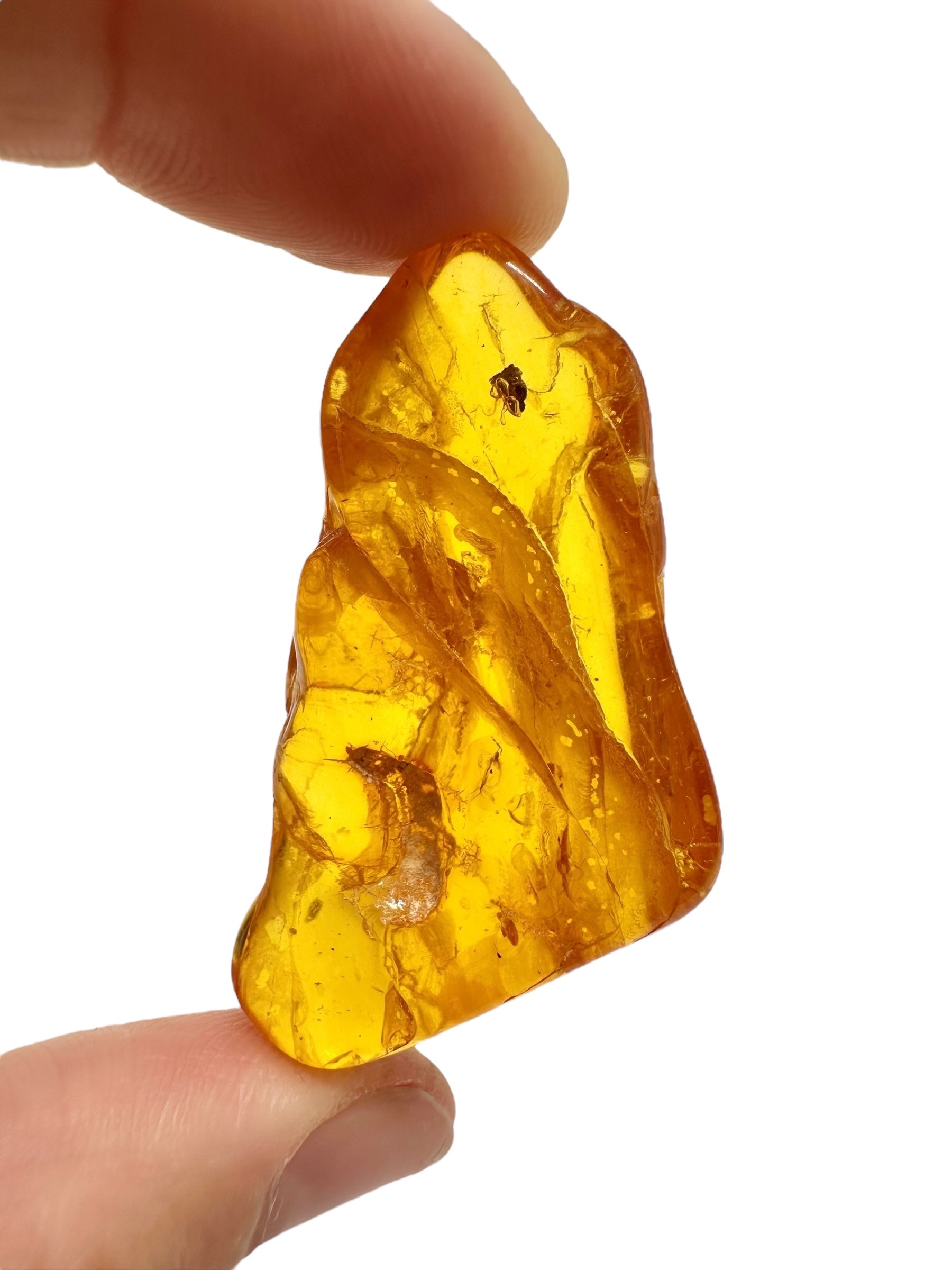 Amber 6,7g – Lithuania - JN706