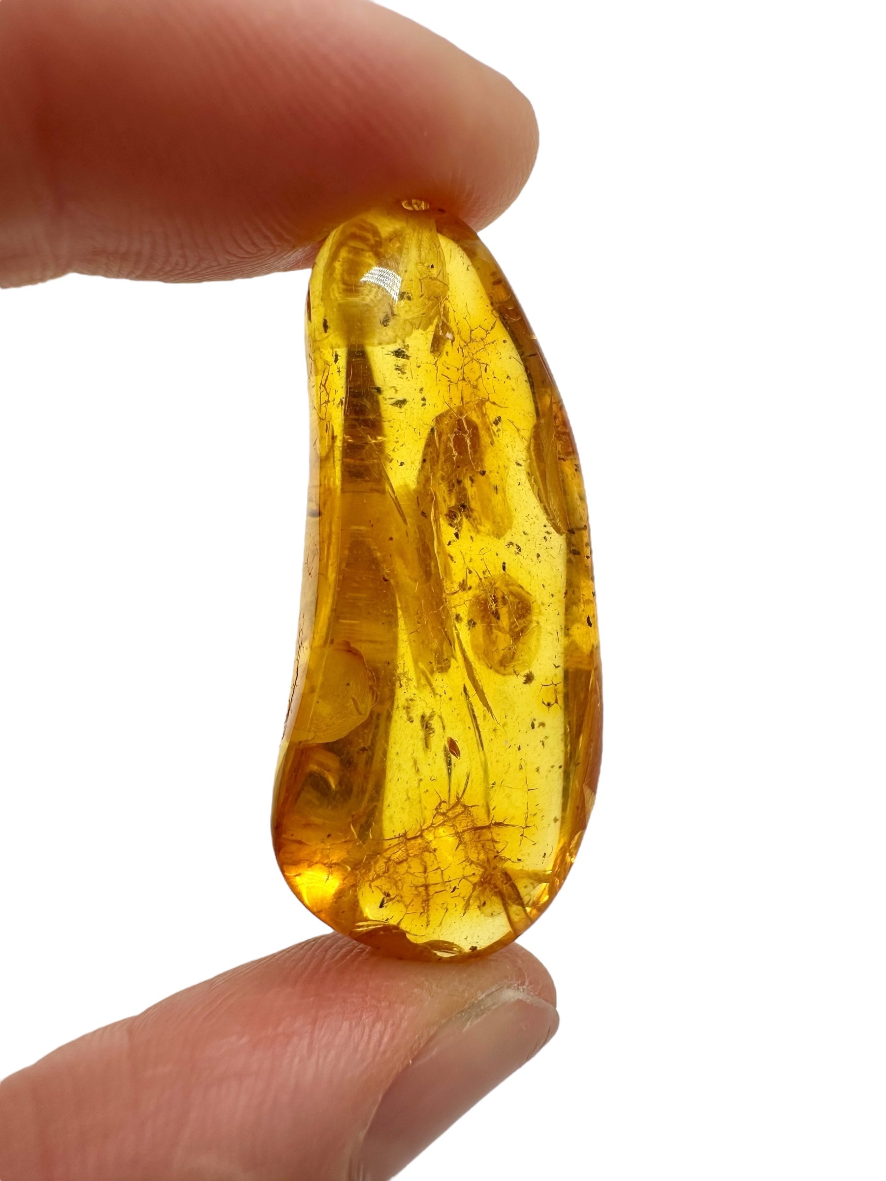 Amber 3,9g – Lithuania - JN709