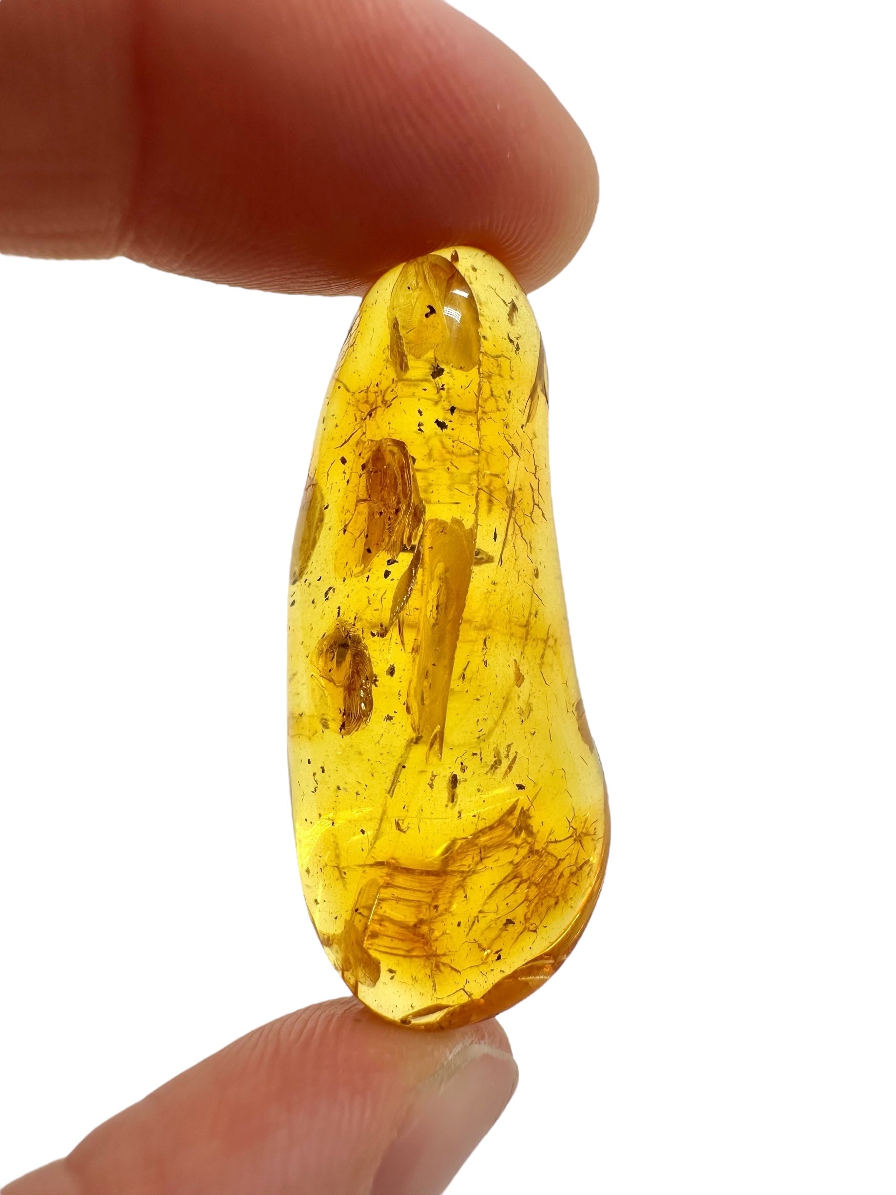 Amber 3,9g – Lithuania - JN709
