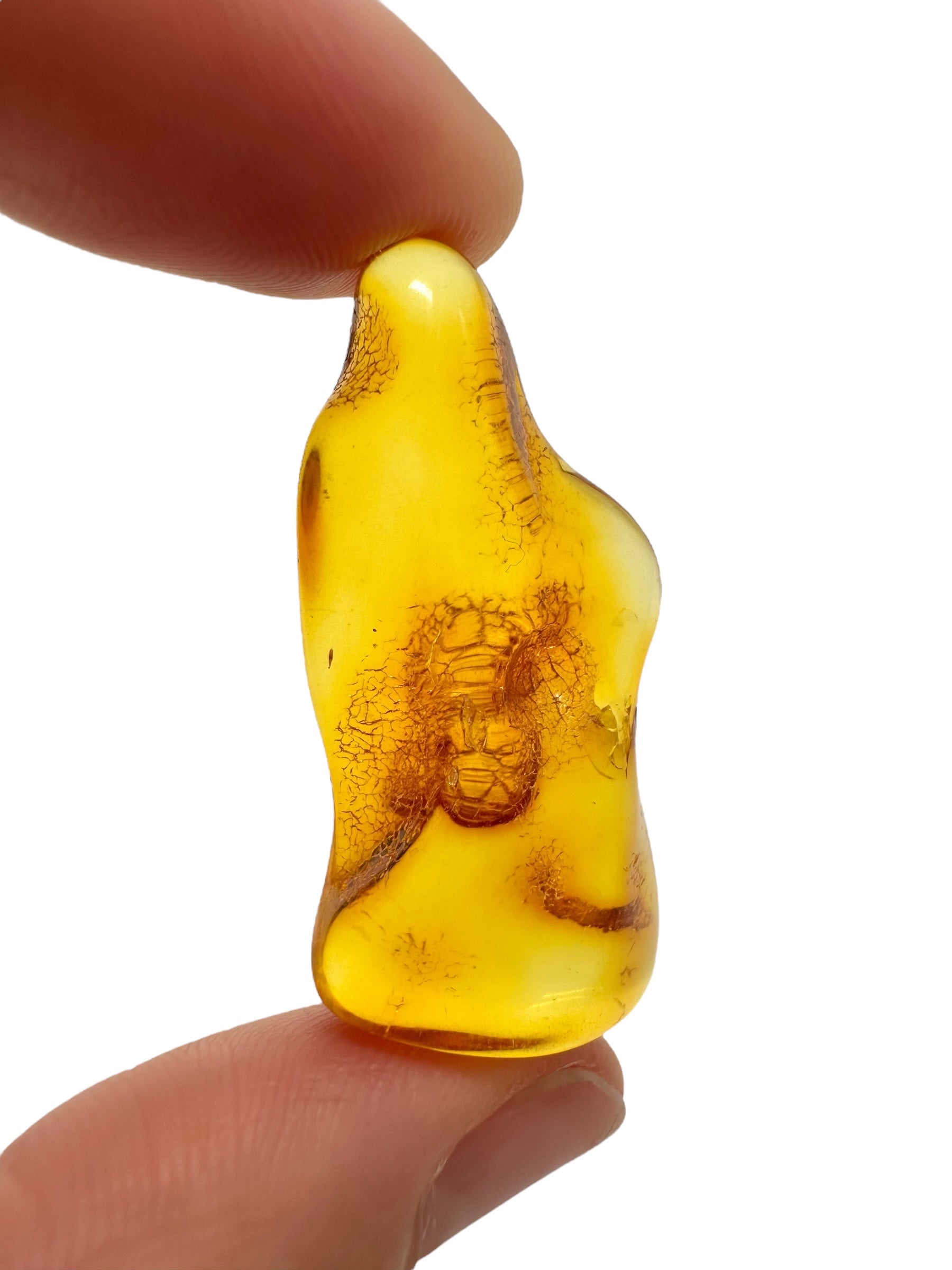 Amber 3,6g – Lithuania - JN714