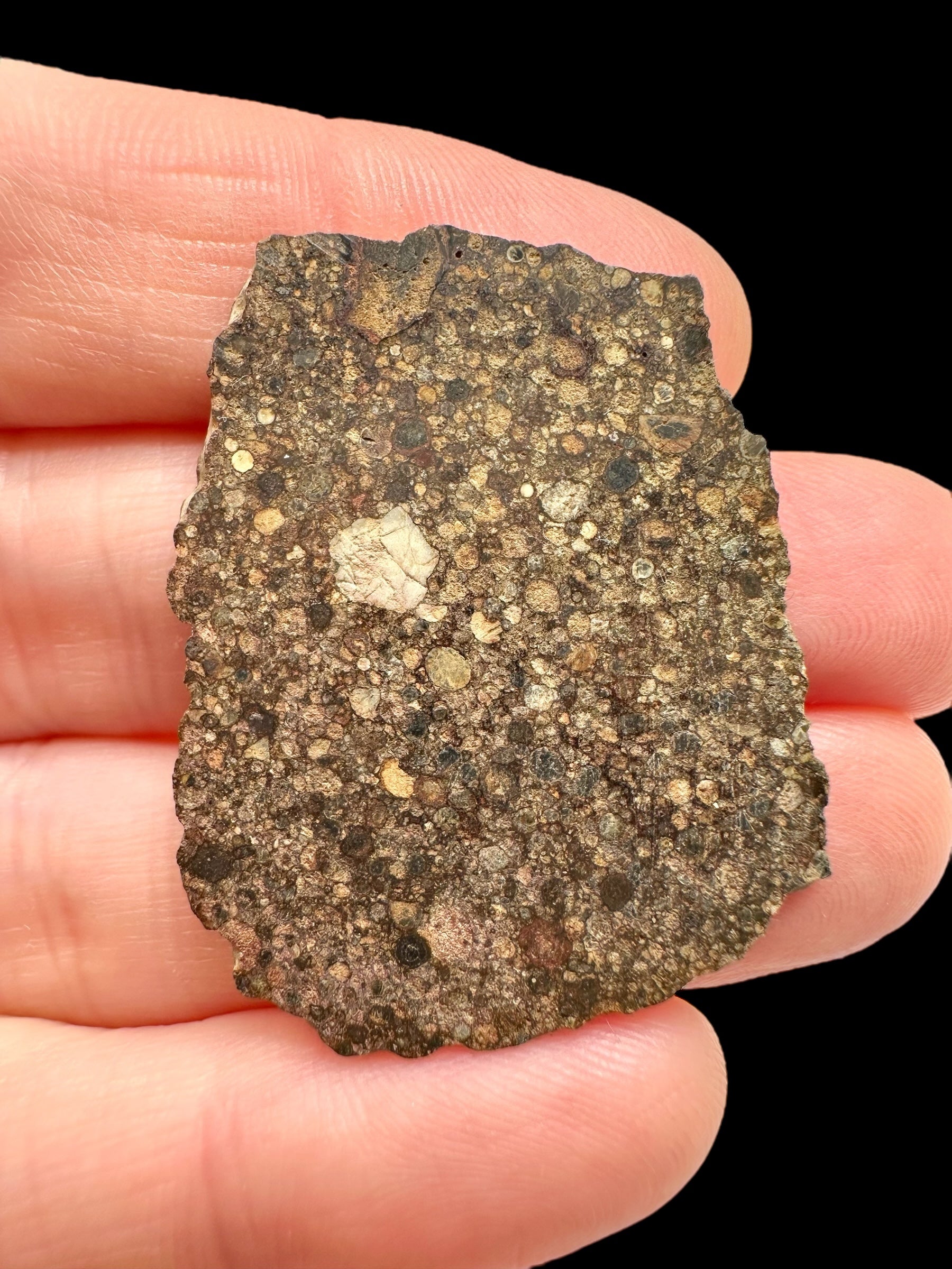 Meteorite NWA 17369 – 3,8g – Northwest Africa - MENWS03