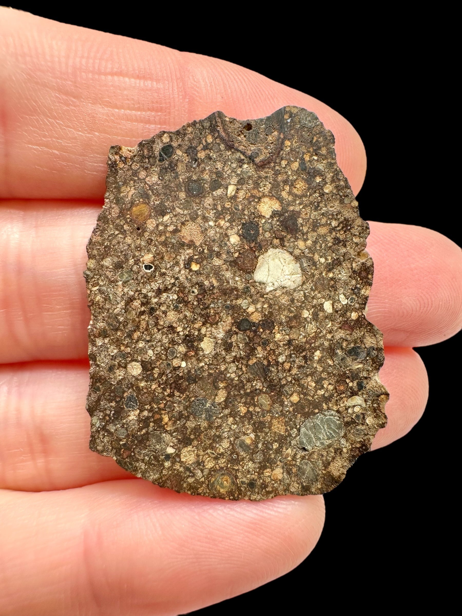 Meteorite NWA 17369 – 3,8g – Northwest Africa