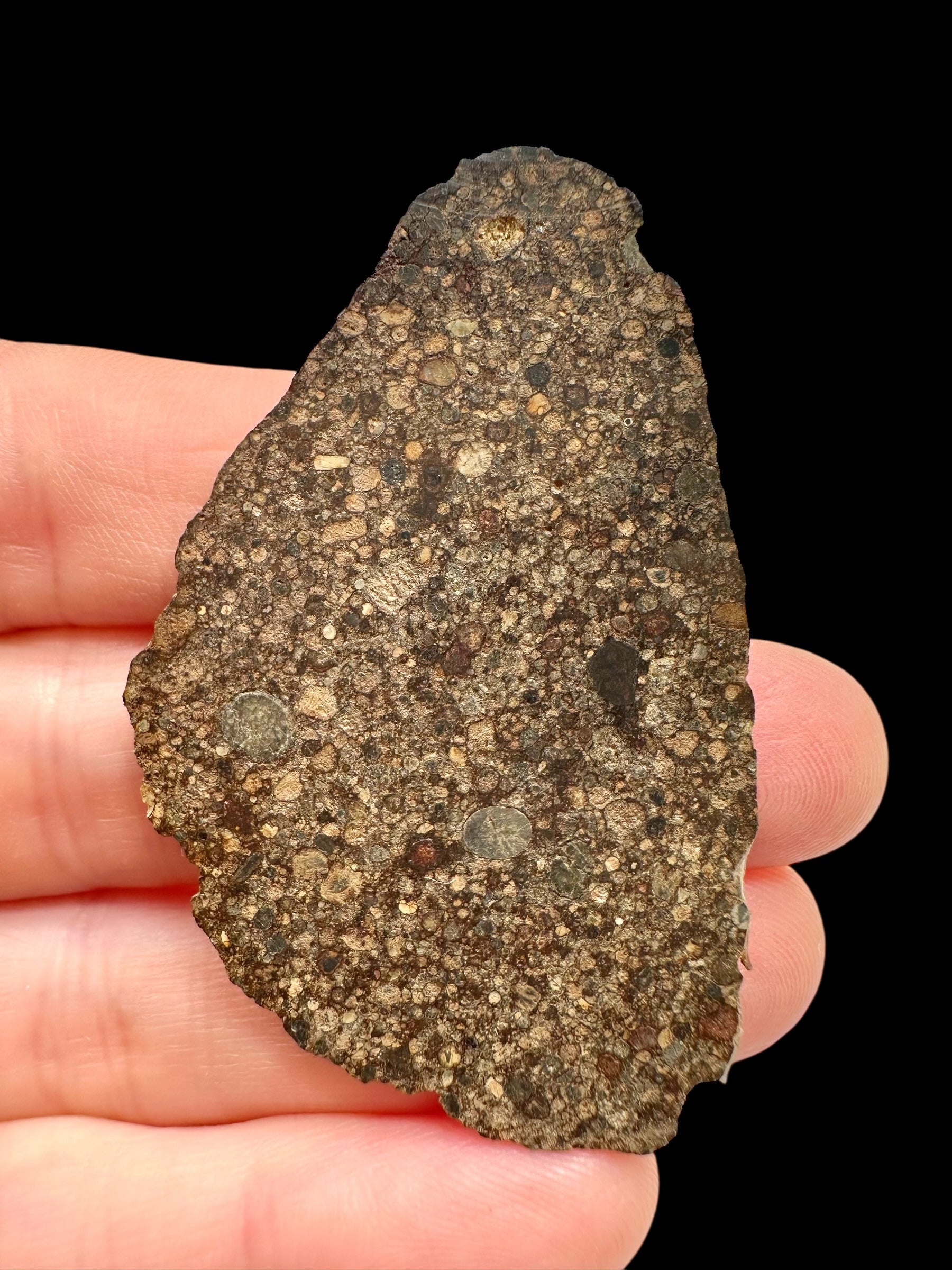 Meteorite NWA 17369 – 5,4g – Northwest Africa - MENWS05