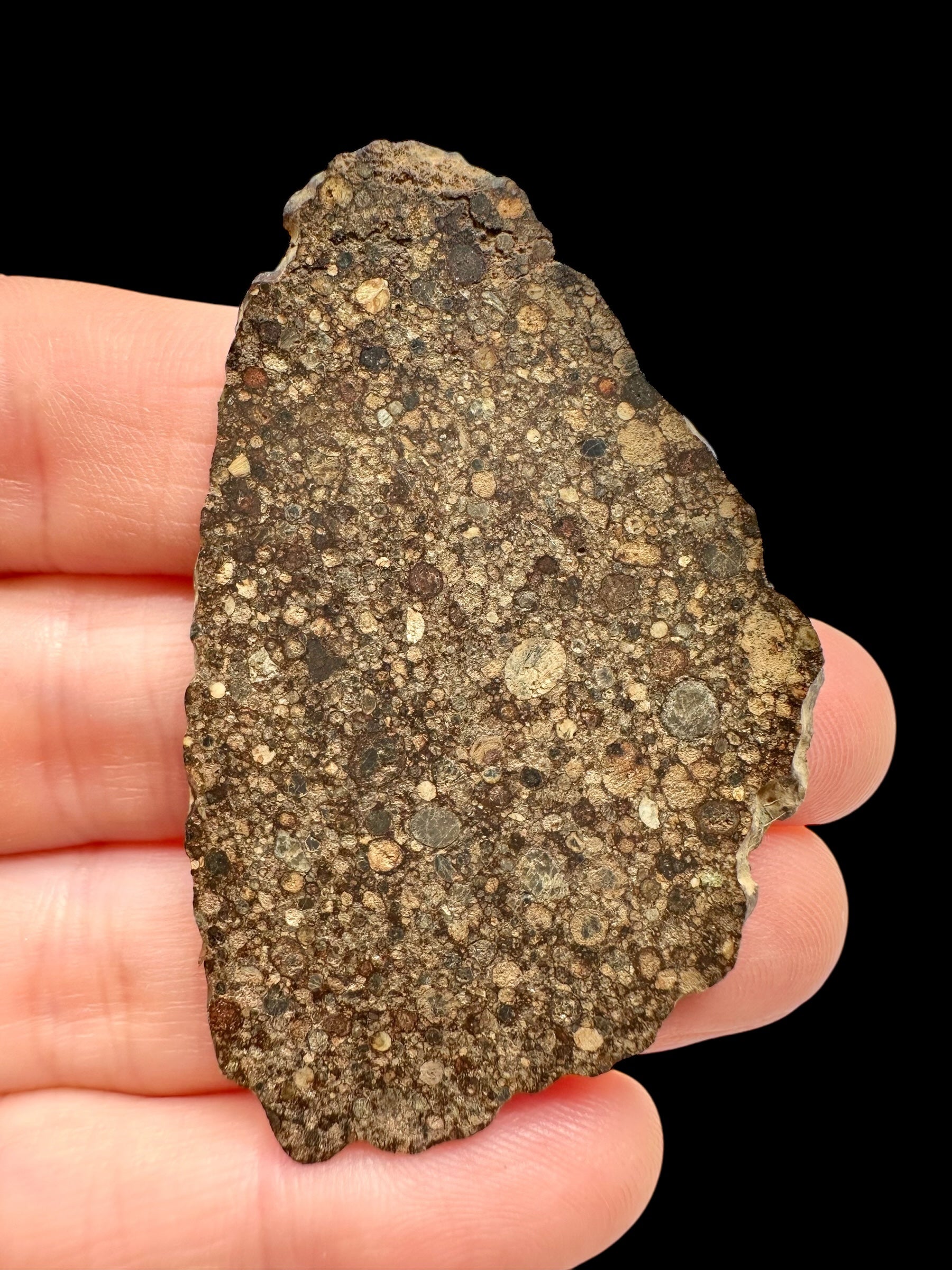 Meteorite NWA 17369 – 5,4g – Northwest Africa