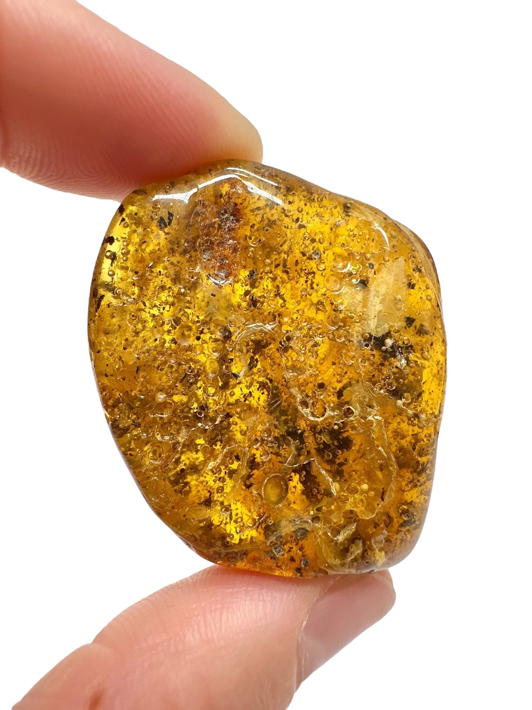Insects in amber – Lithuania – 13g - IJ163