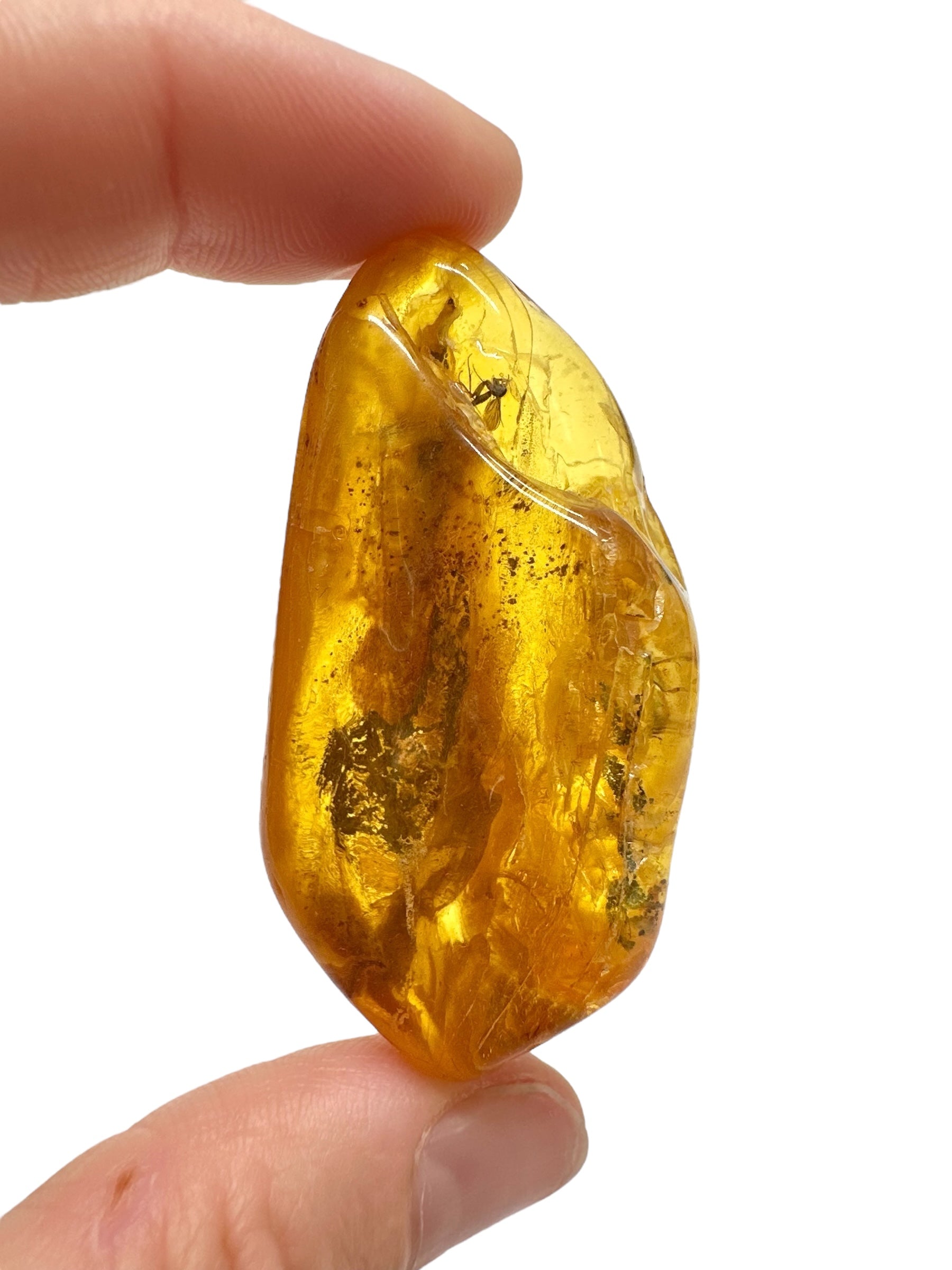 Insects in amber – Lithuania – 13,3g - IJ164