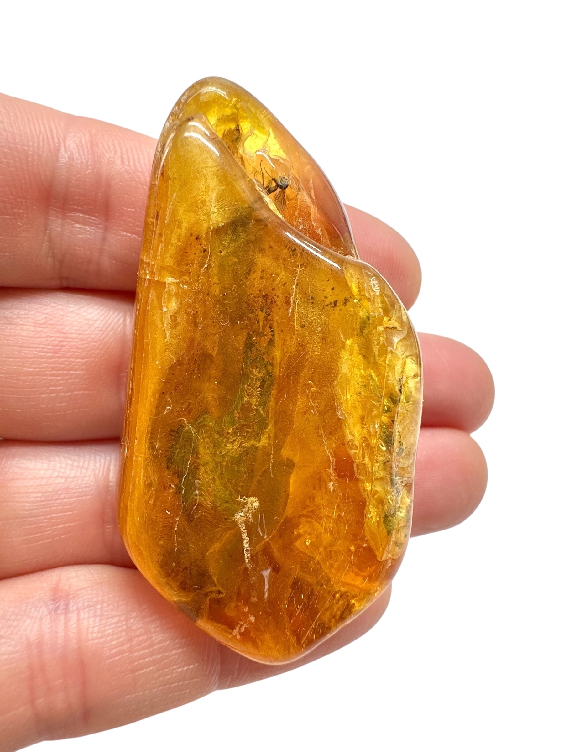 Insects in amber – Lithuania – 13,3g - IJ164