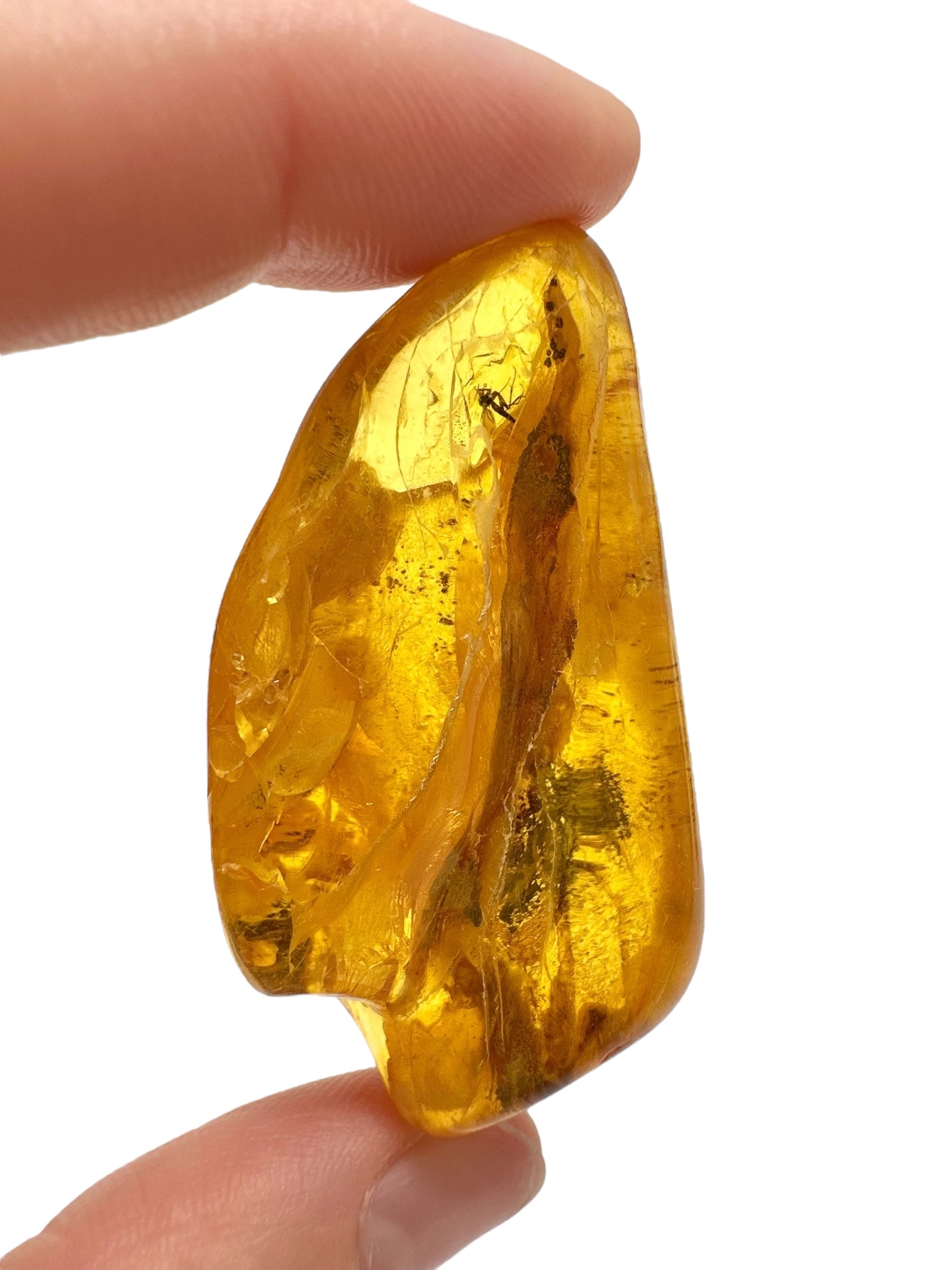 Insects in amber – Lithuania – 13,3g - IJ164