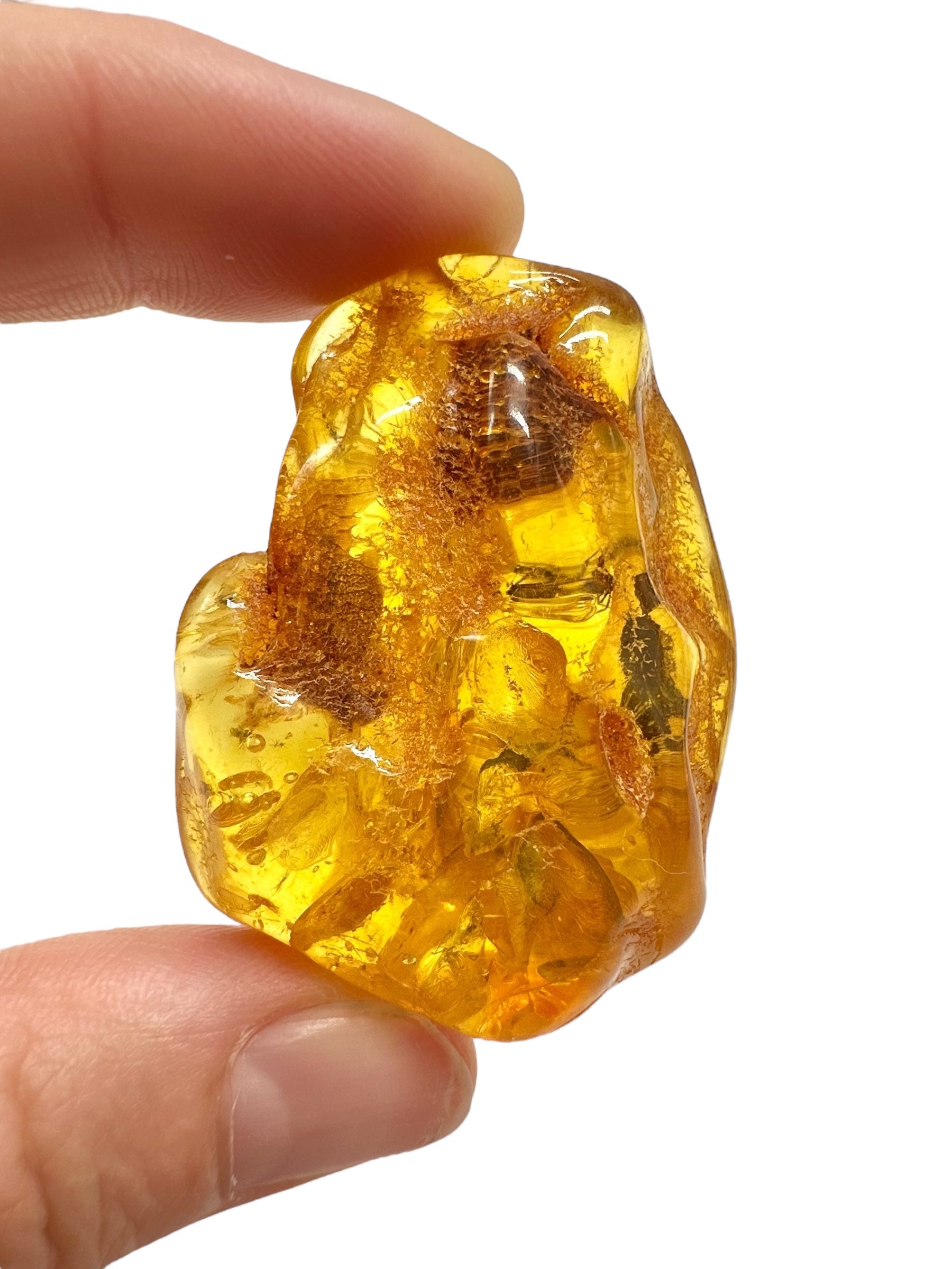 Insects in amber – Lithuania – 11,7g - IJ165