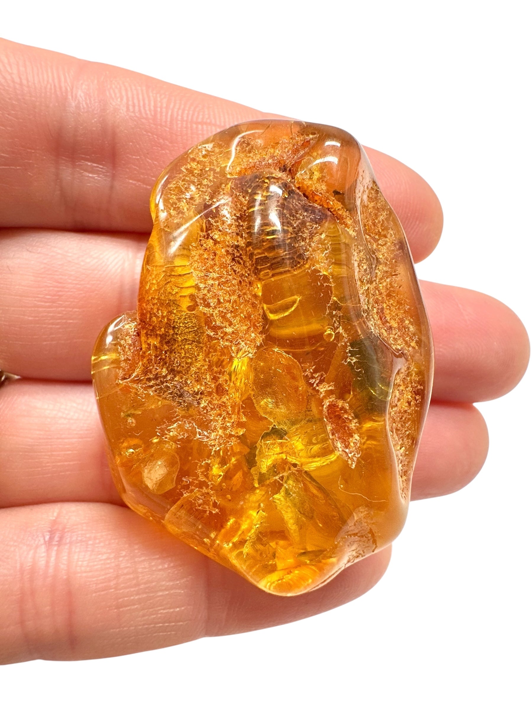 Insects in amber – Lithuania – 11,7g - IJ165