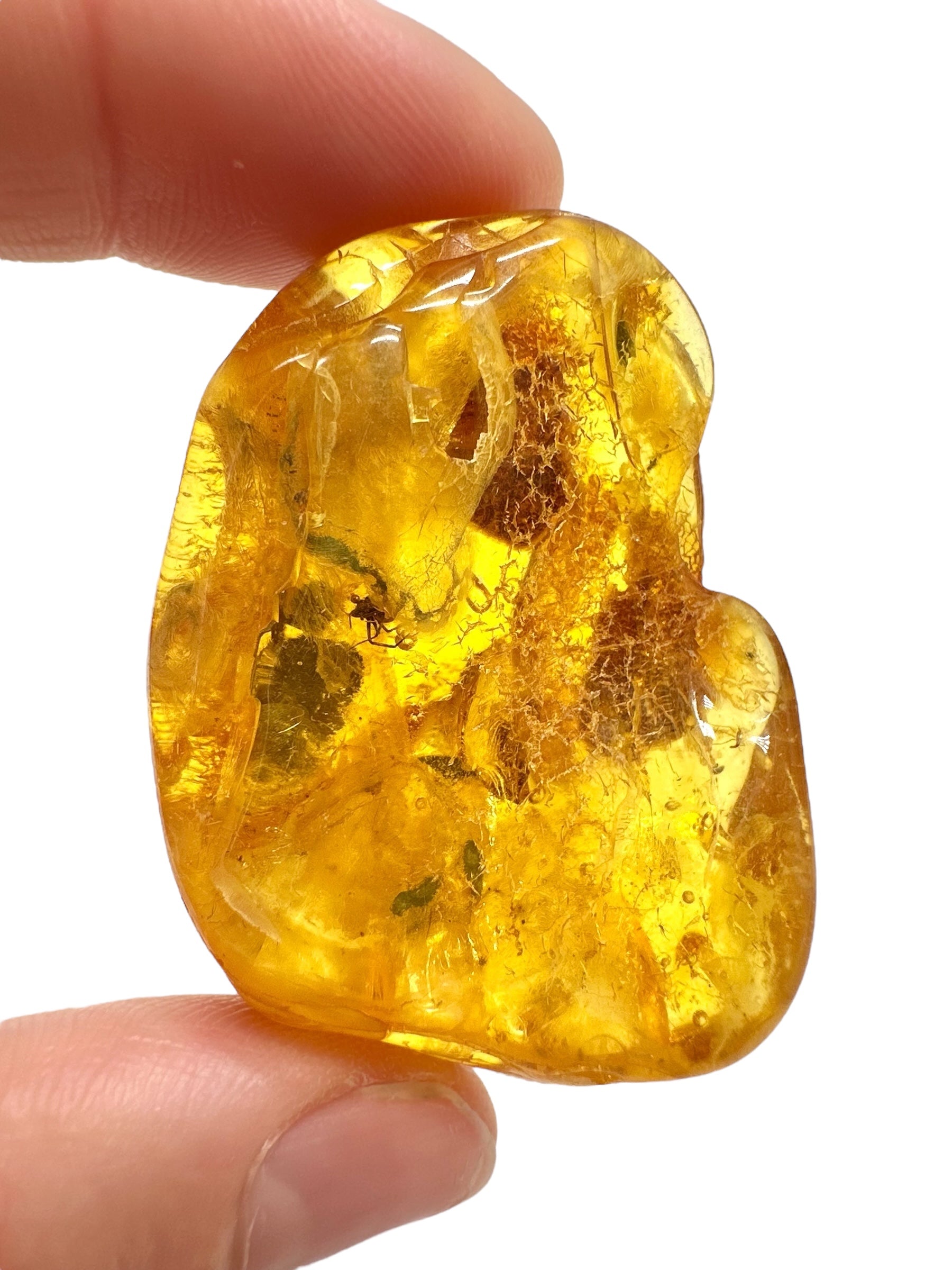 Insects in amber – Lithuania – 11,7g - IJ165