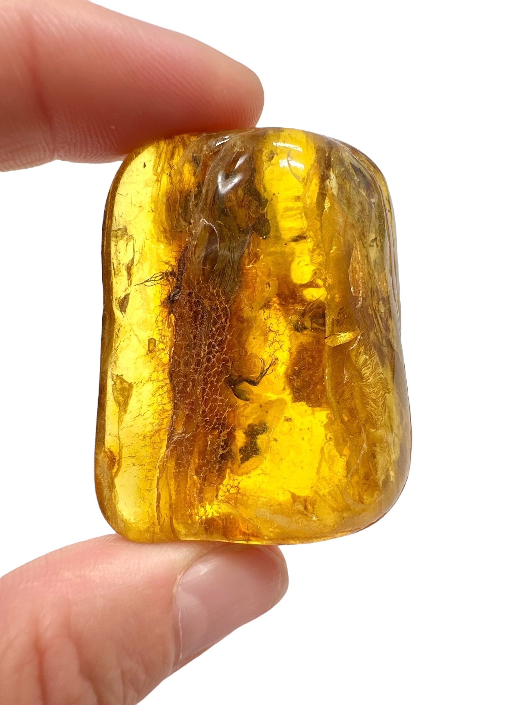 Insects in amber – Lithuania – 19,3g - IJ166