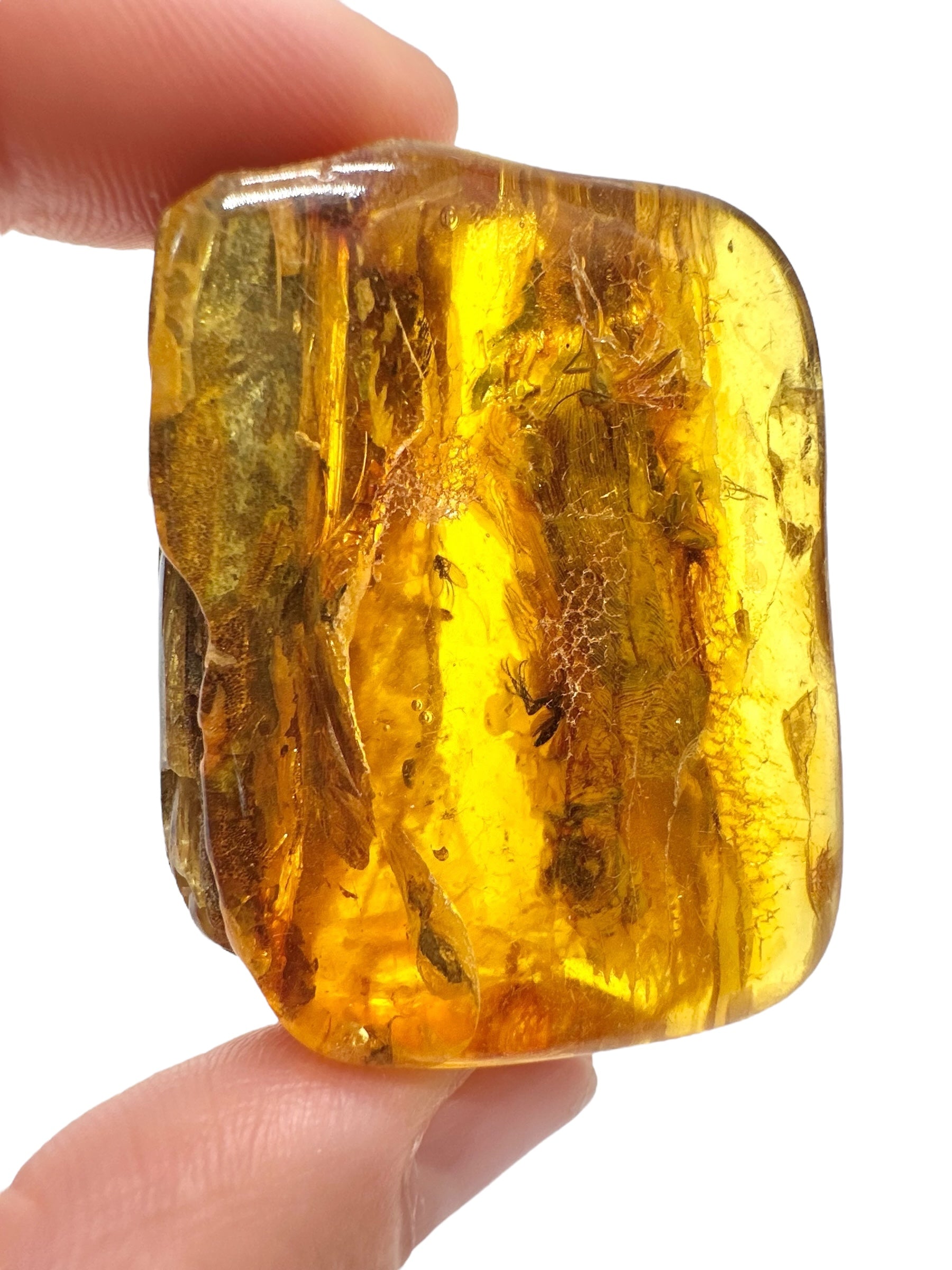 Insects in amber – Lithuania – 19,3g
