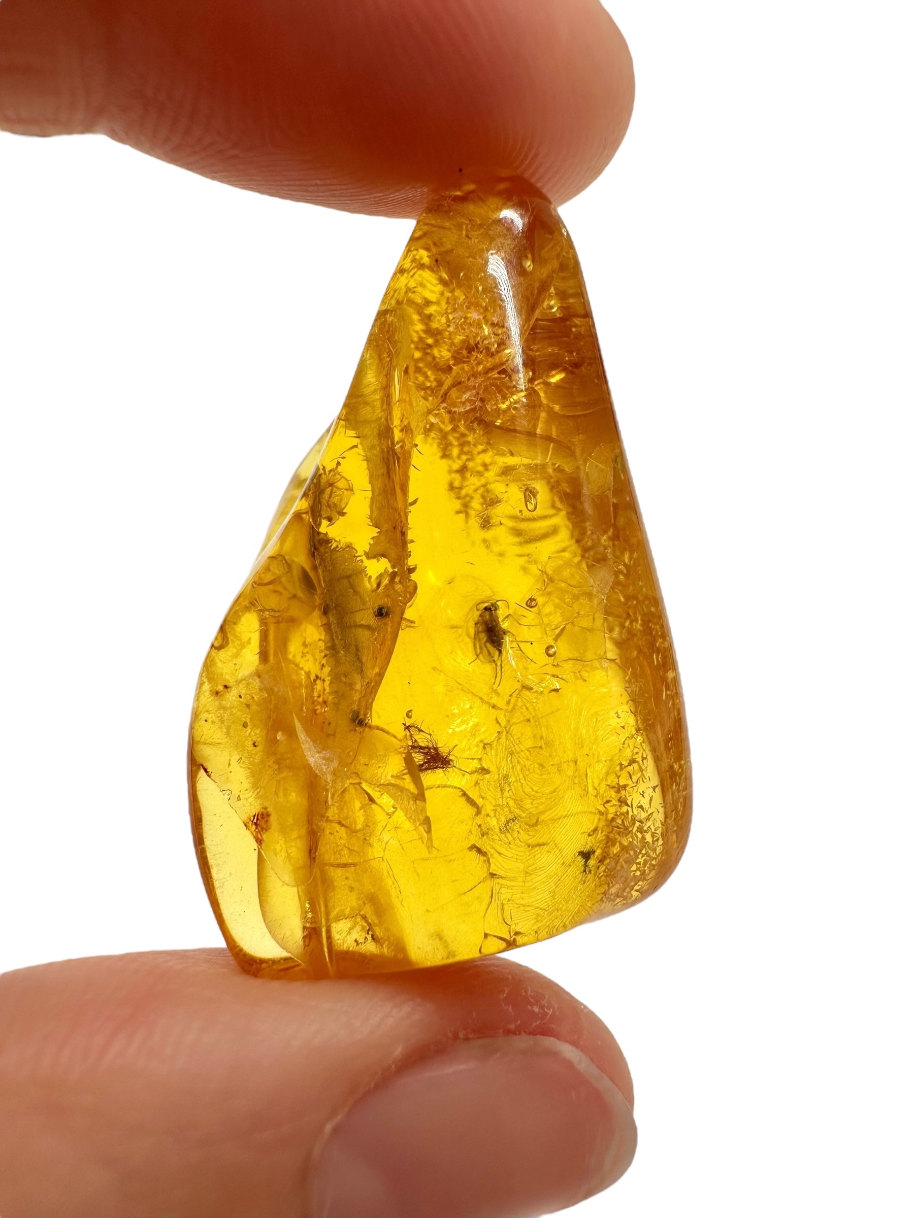 Insects in amber – Lithuania – 5g - IJ169