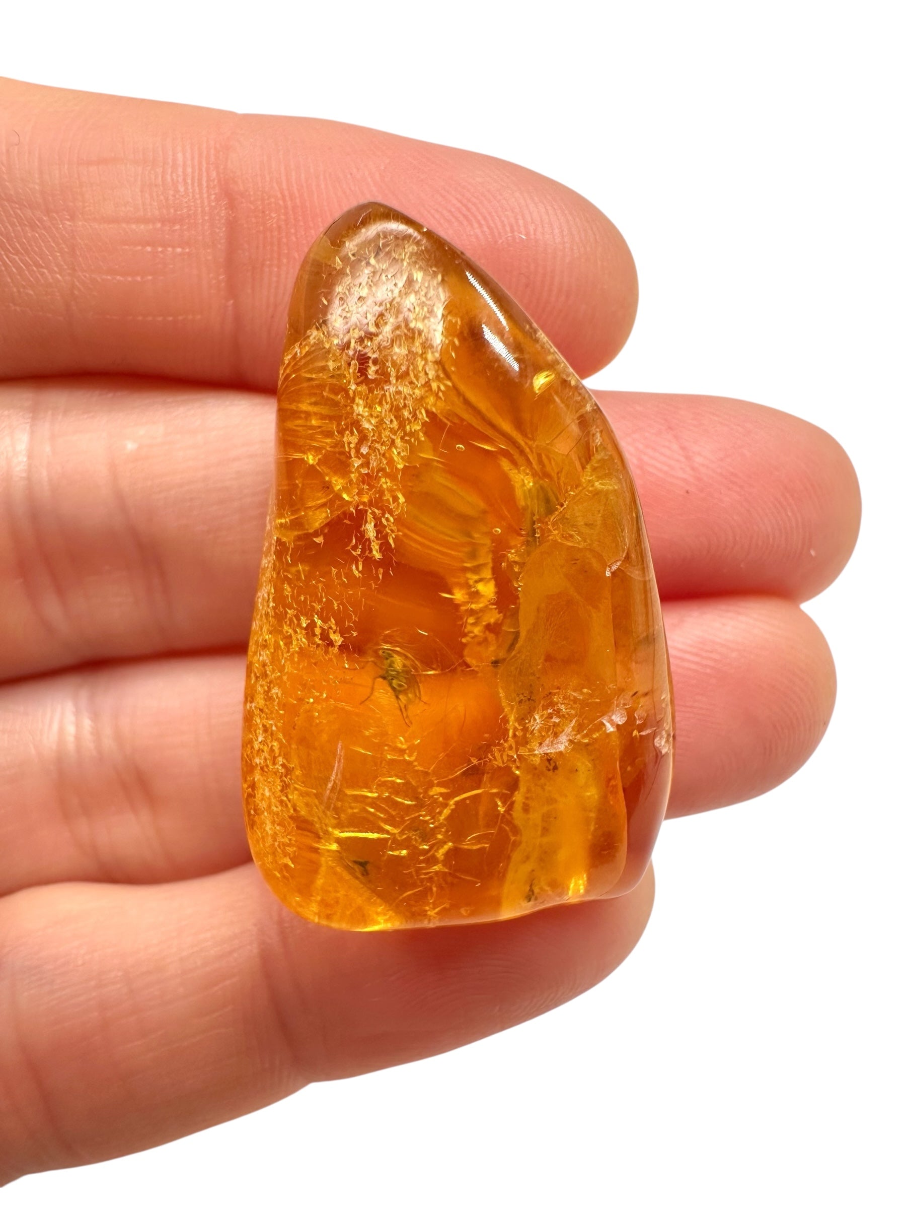 Insects in amber – Lithuania – 5g - IJ169