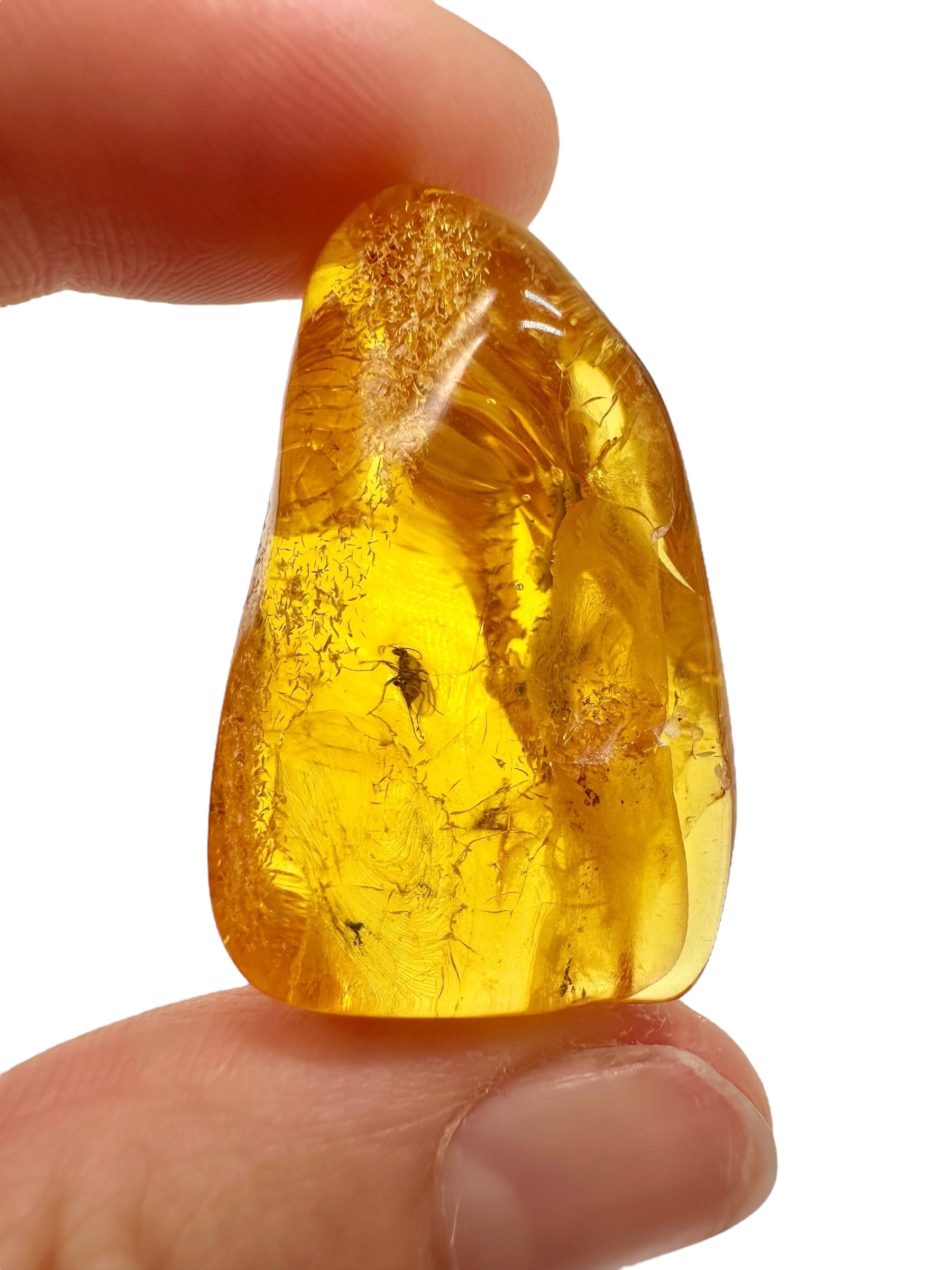 Insects in amber – Lithuania – 5g
