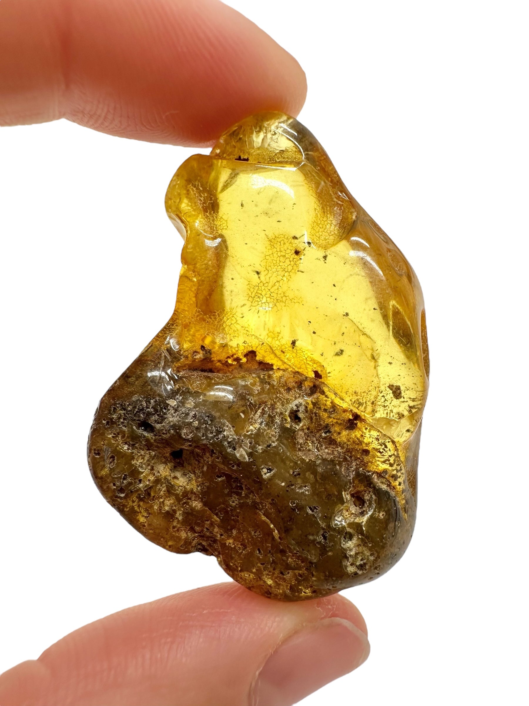 Insects in amber – Lithuania – 10,8g - IJ170