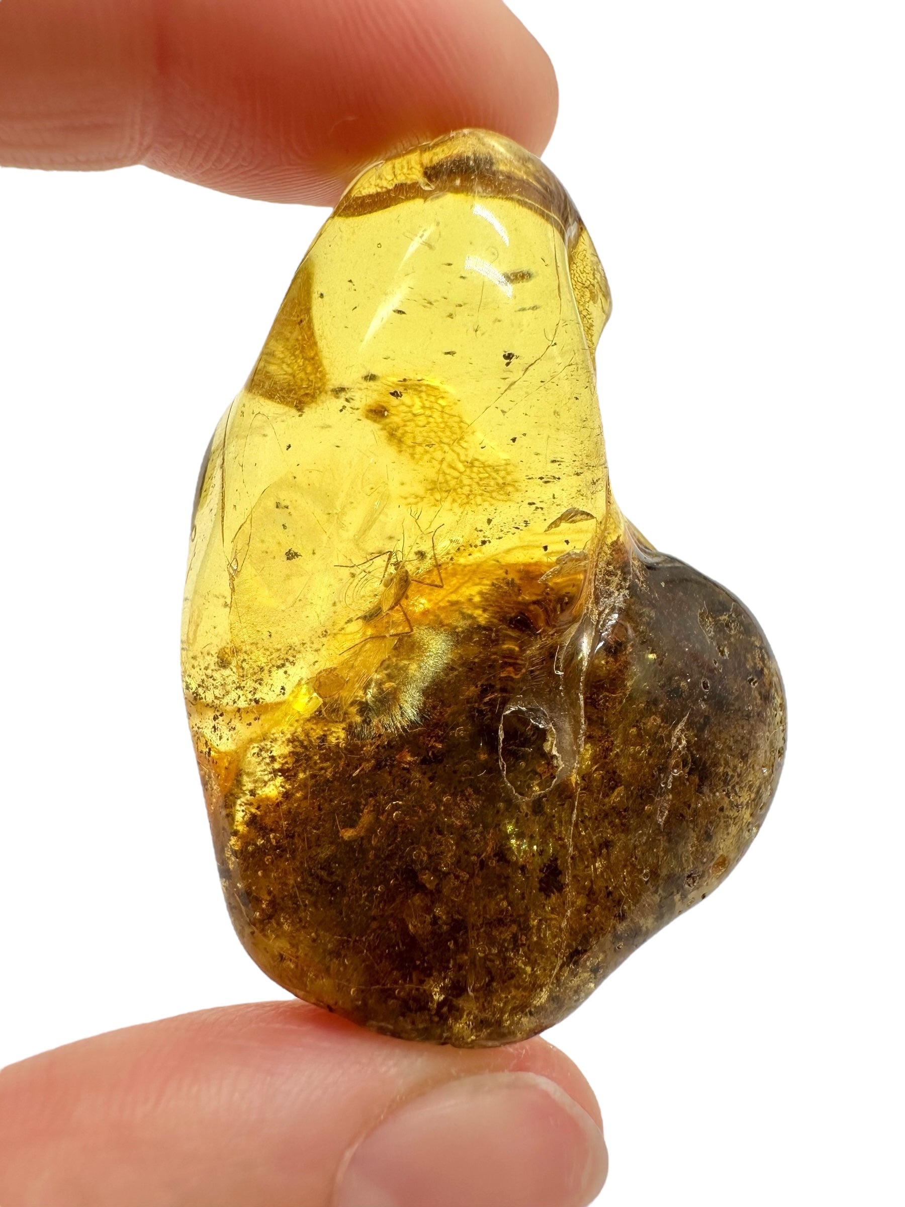 Insects in amber – Lithuania – 10,8g - IJ170