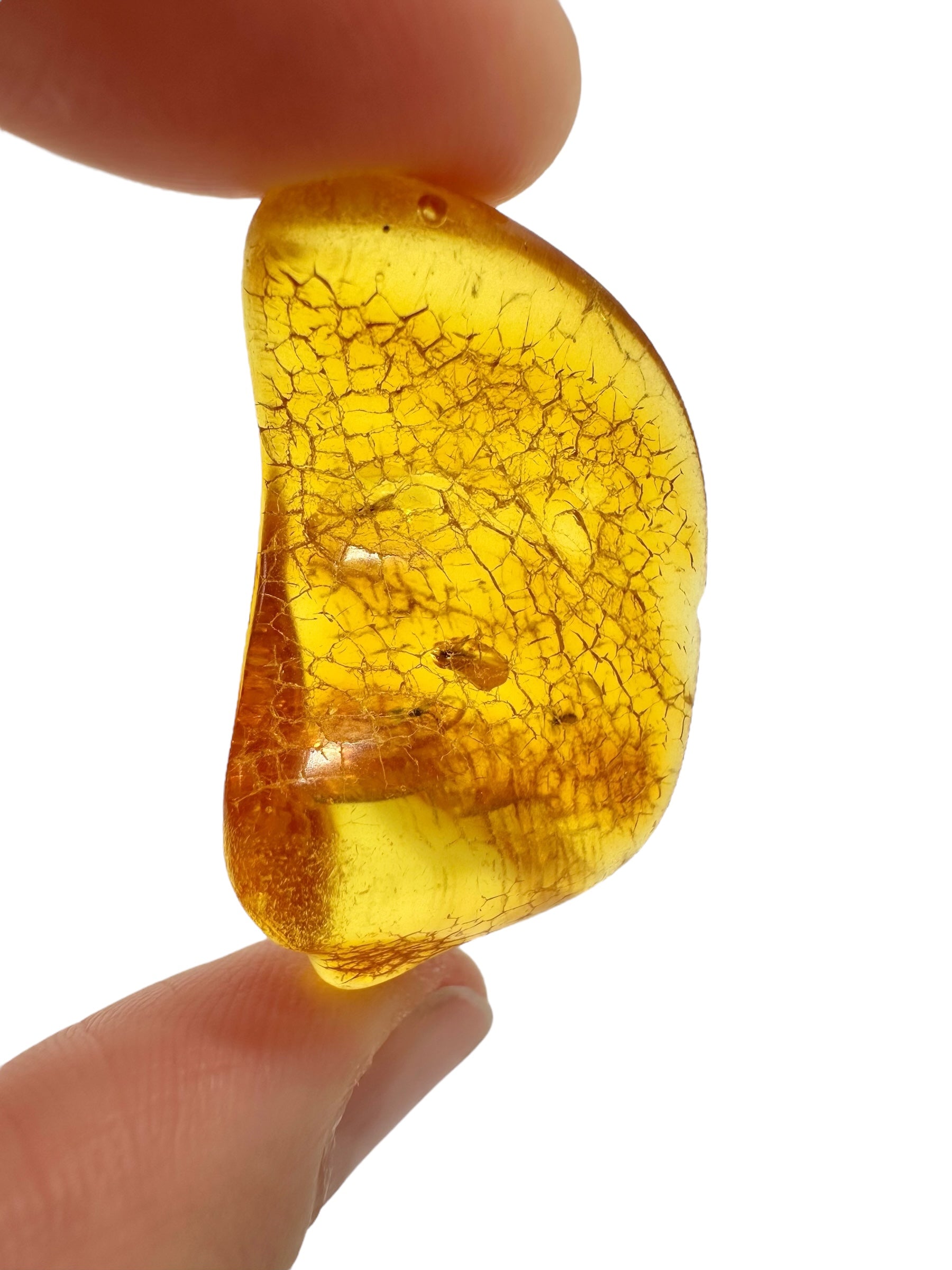 Insects in amber – Lithuania – 4,1g - IJ171