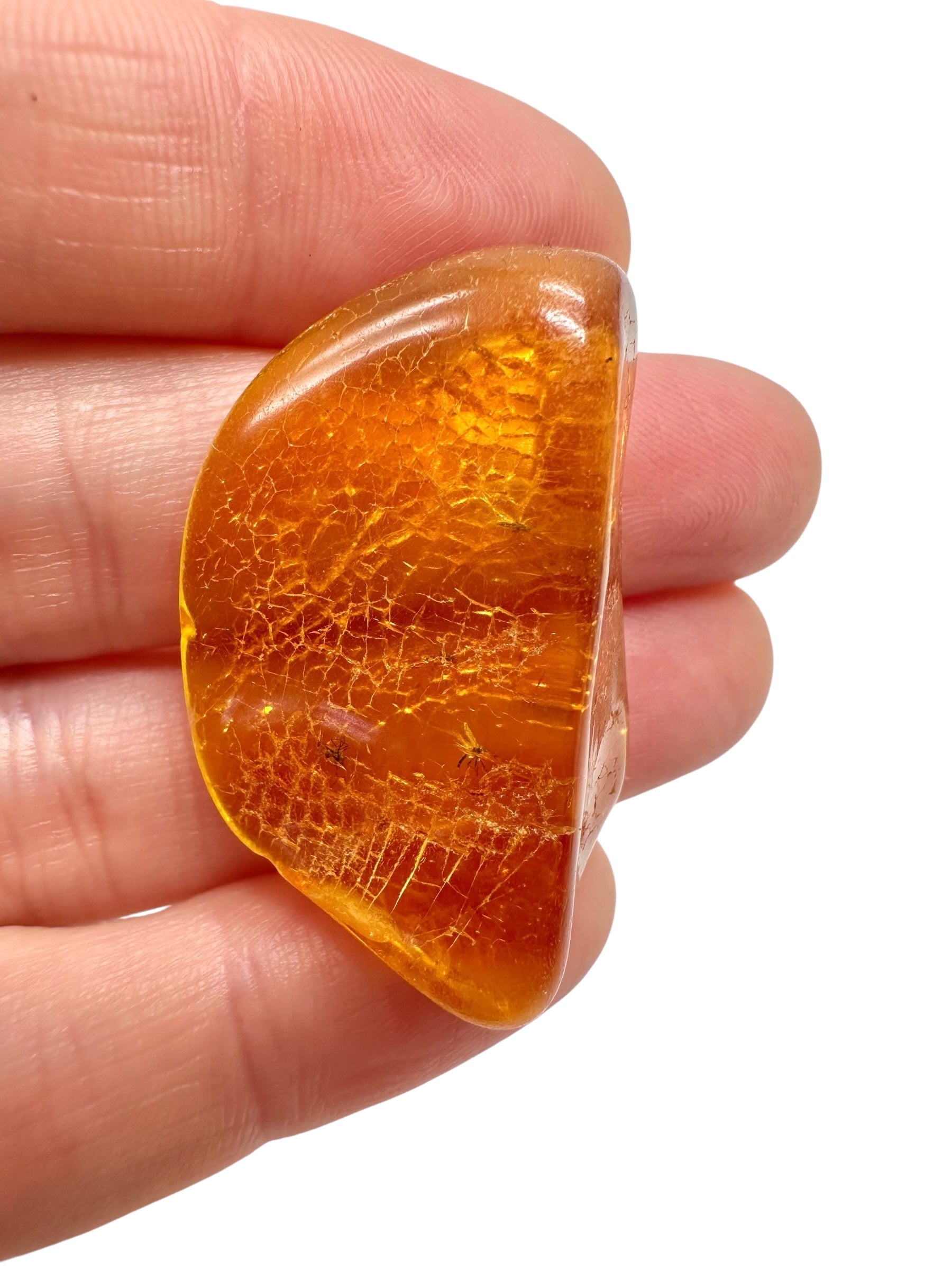 Insects in amber – Lithuania – 4,1g - IJ171
