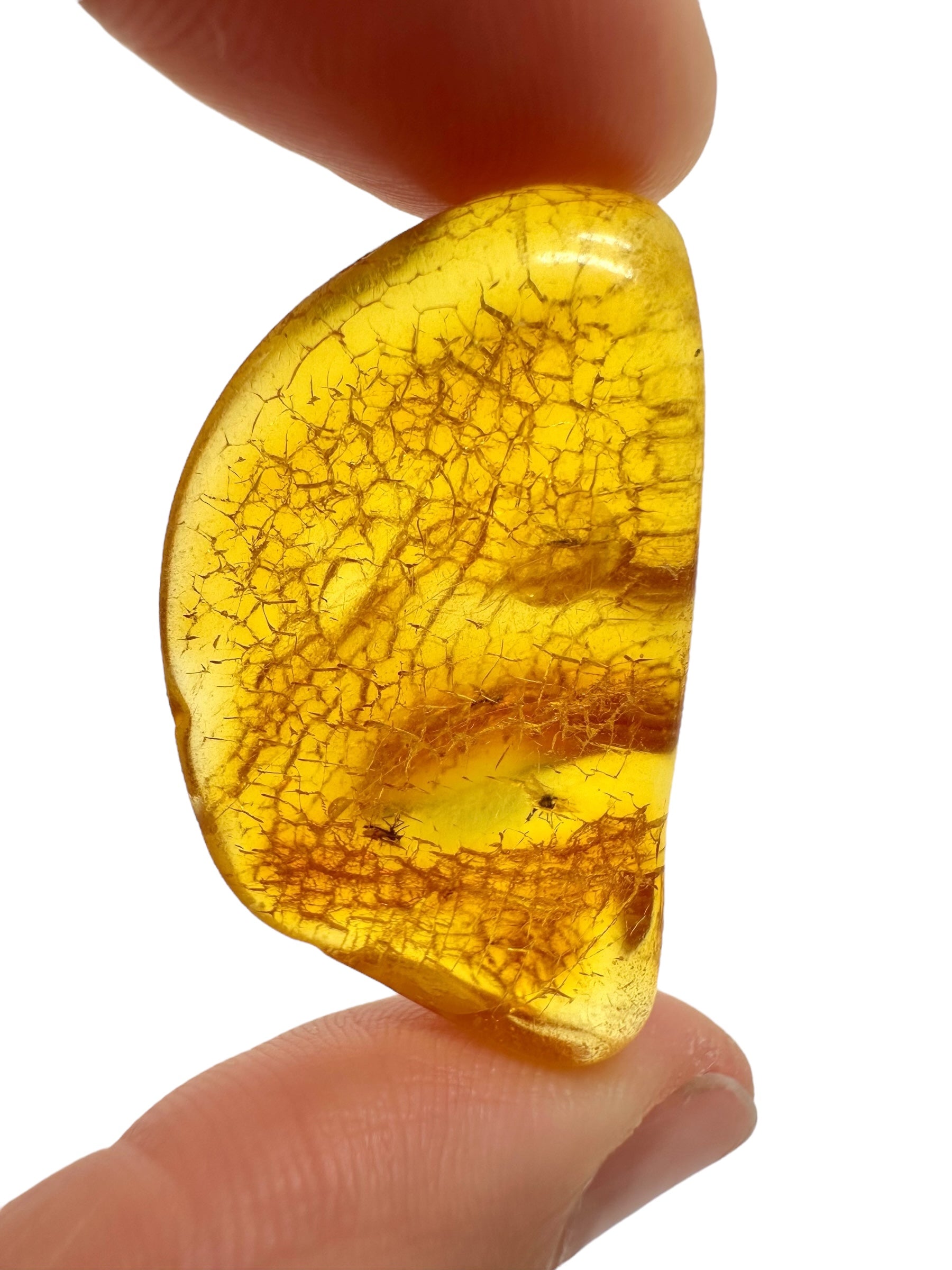Insects in amber – Lithuania – 4,1g - IJ171