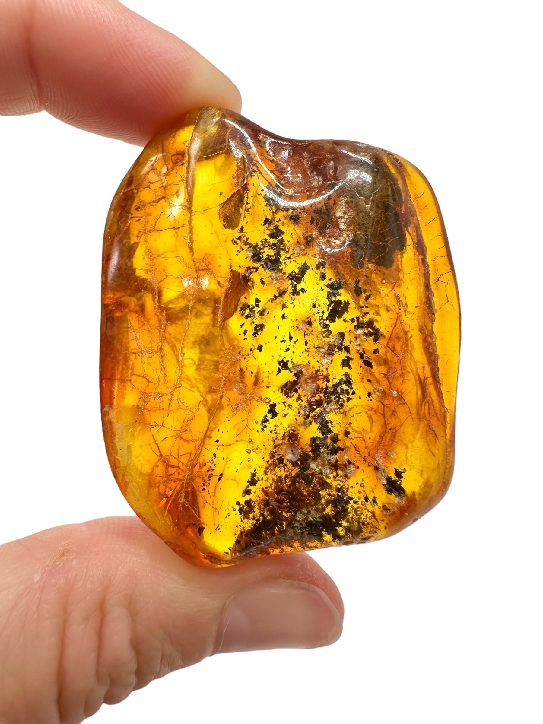 Insects in amber – Lithuania – 16,1g - IJ172