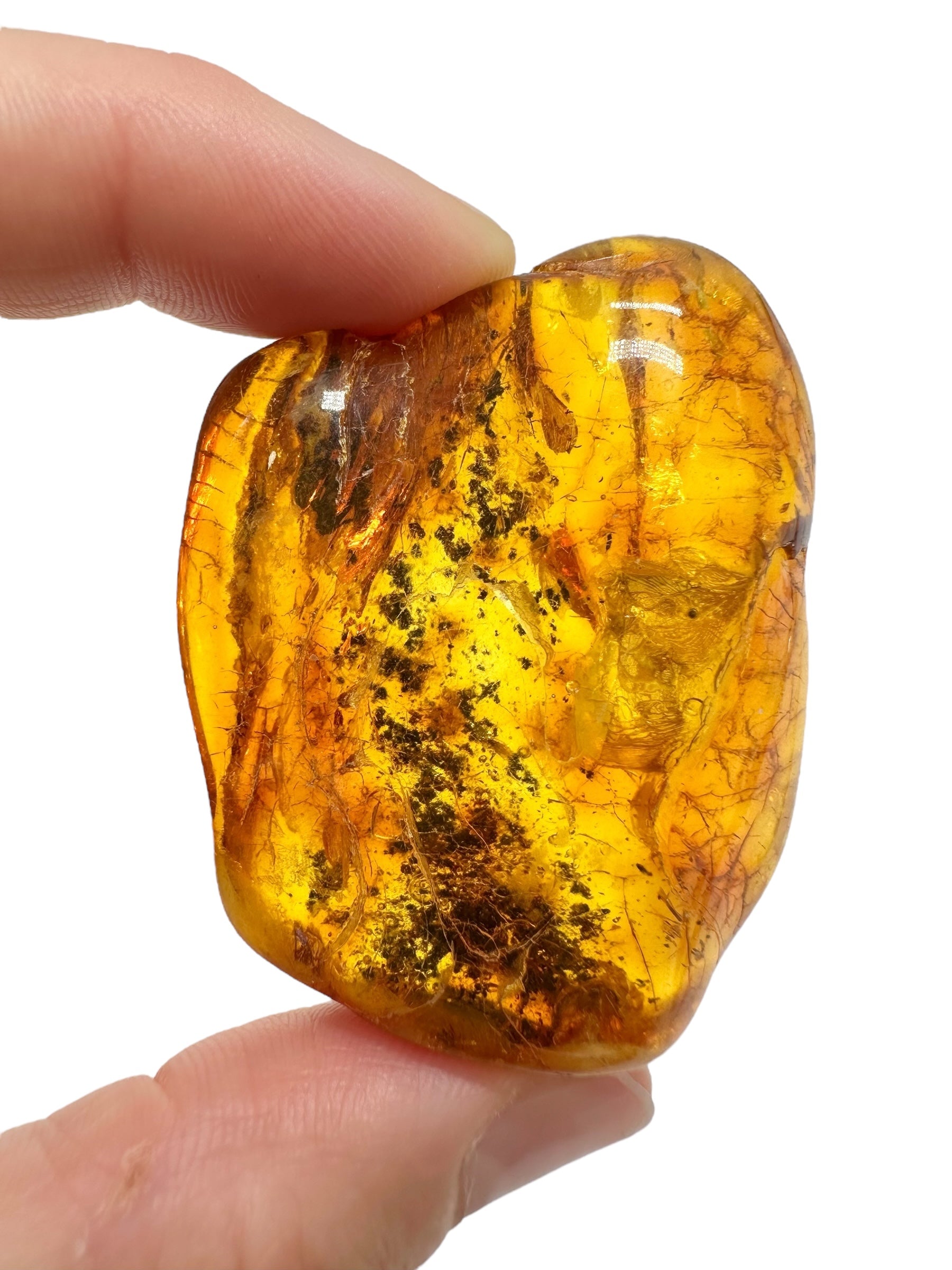 Insects in amber – Lithuania – 16,1g