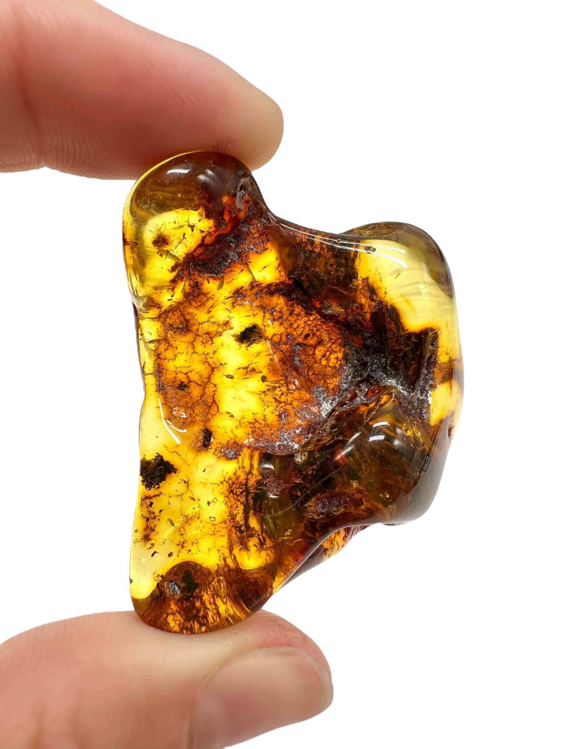 Amber 14,3g – Lithuania - JN724