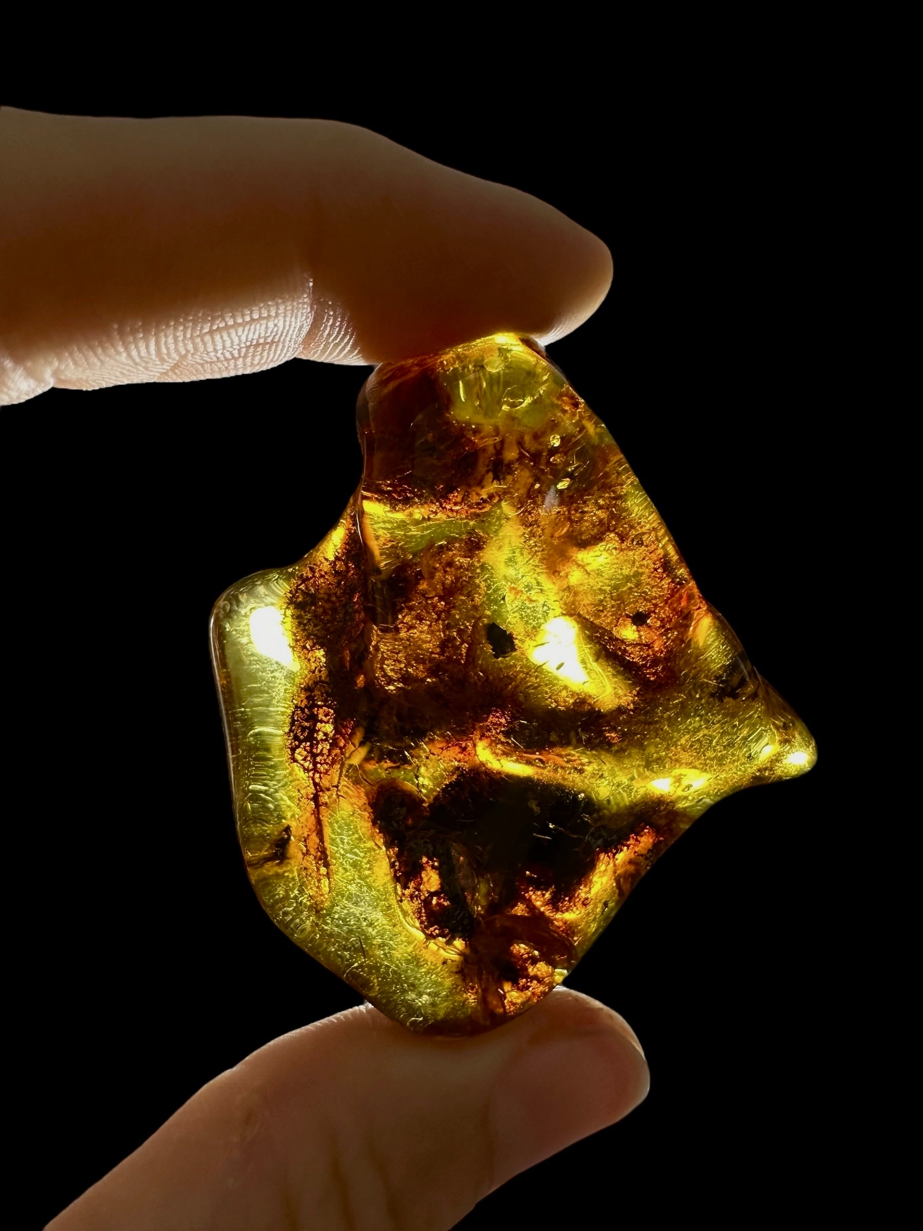 Amber 14,3g – Lithuania - JN724