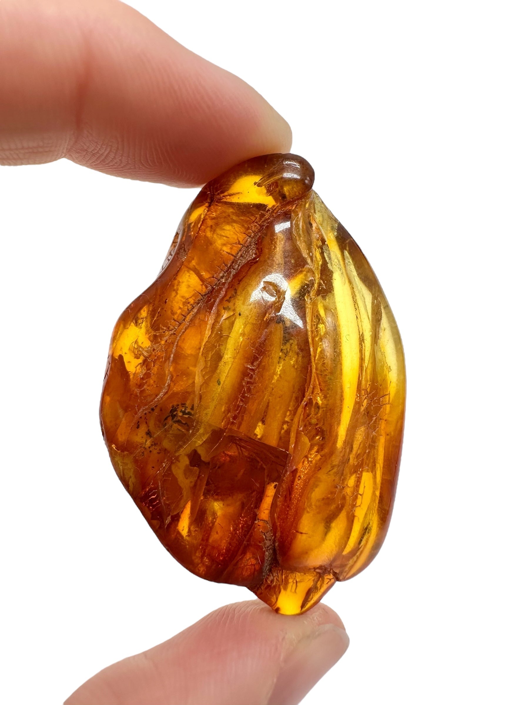 Amber 10,6g – Lithuania - JN726