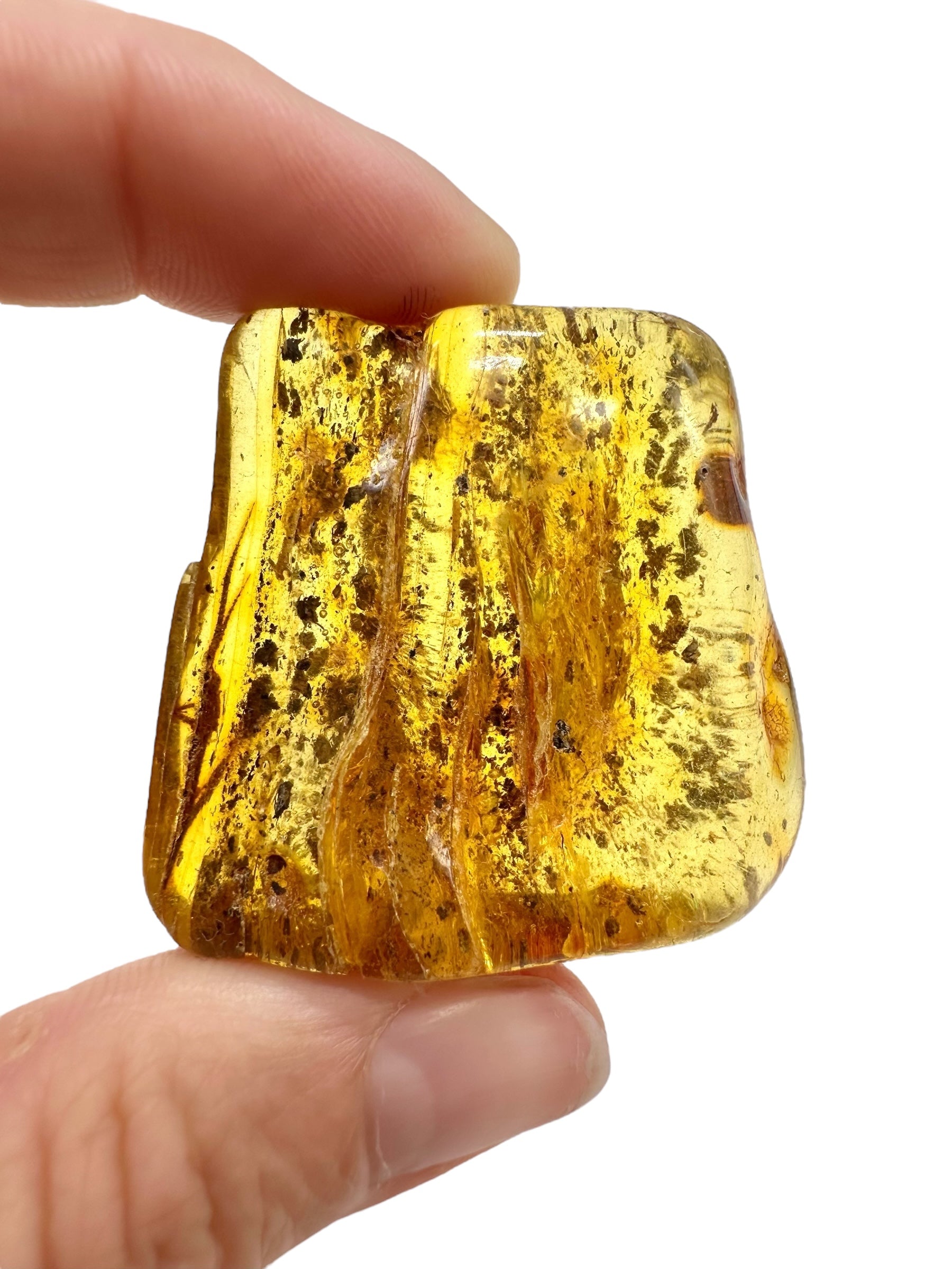 Amber 13,7g – Lithuania - JN727