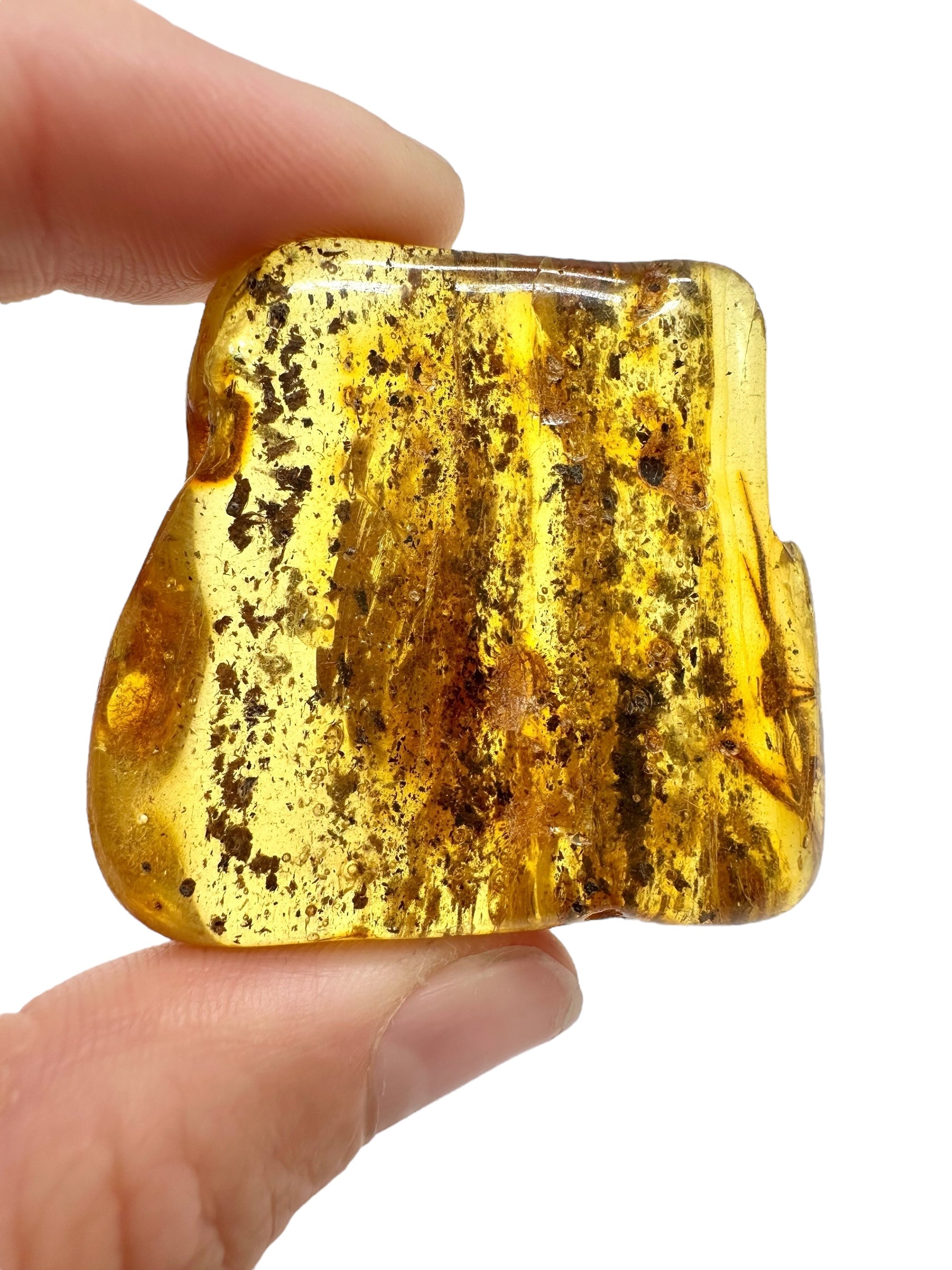 Amber 13,7g – Lithuania - JN727