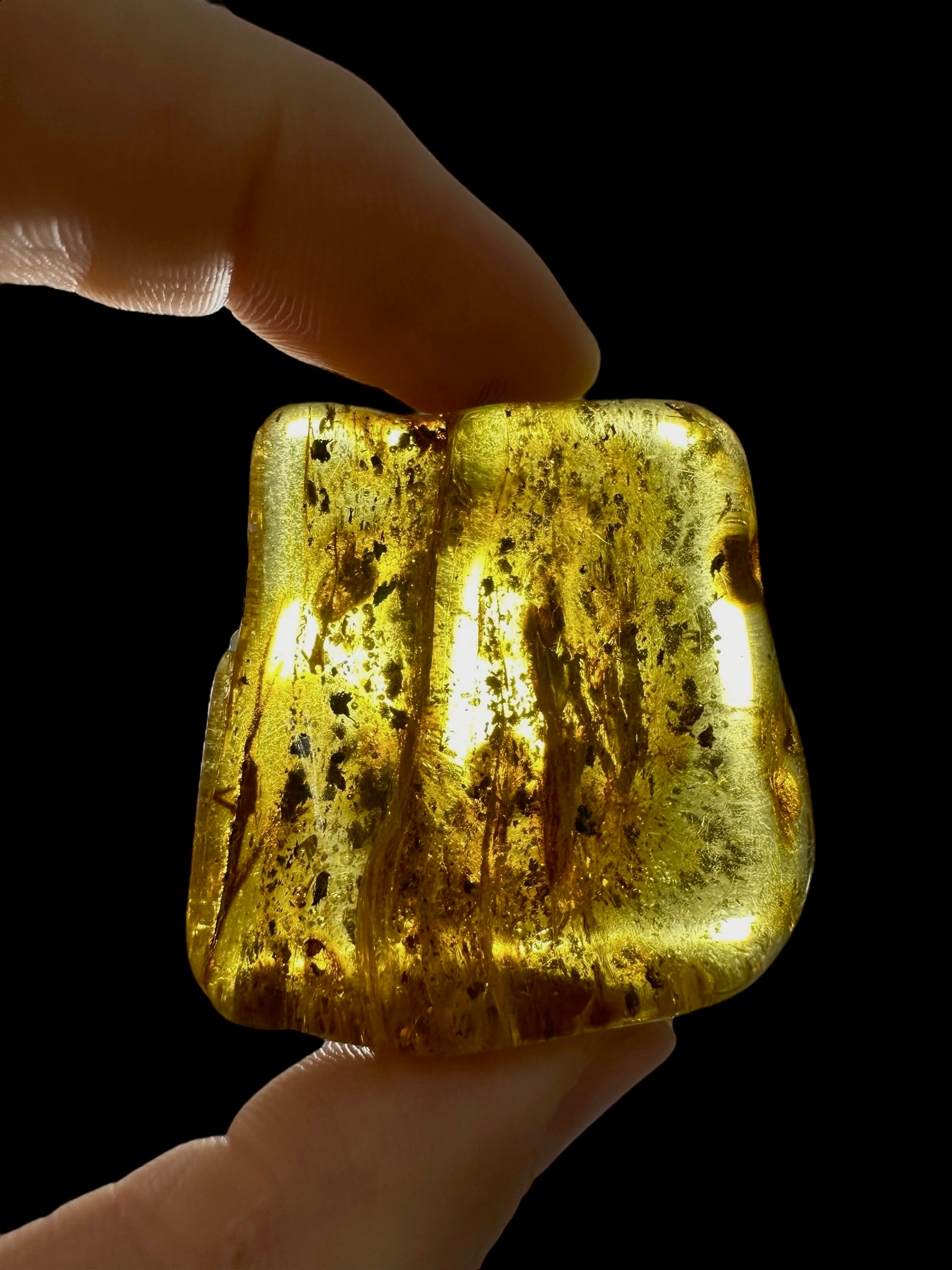 Amber 13,7g – Lithuania - JN727